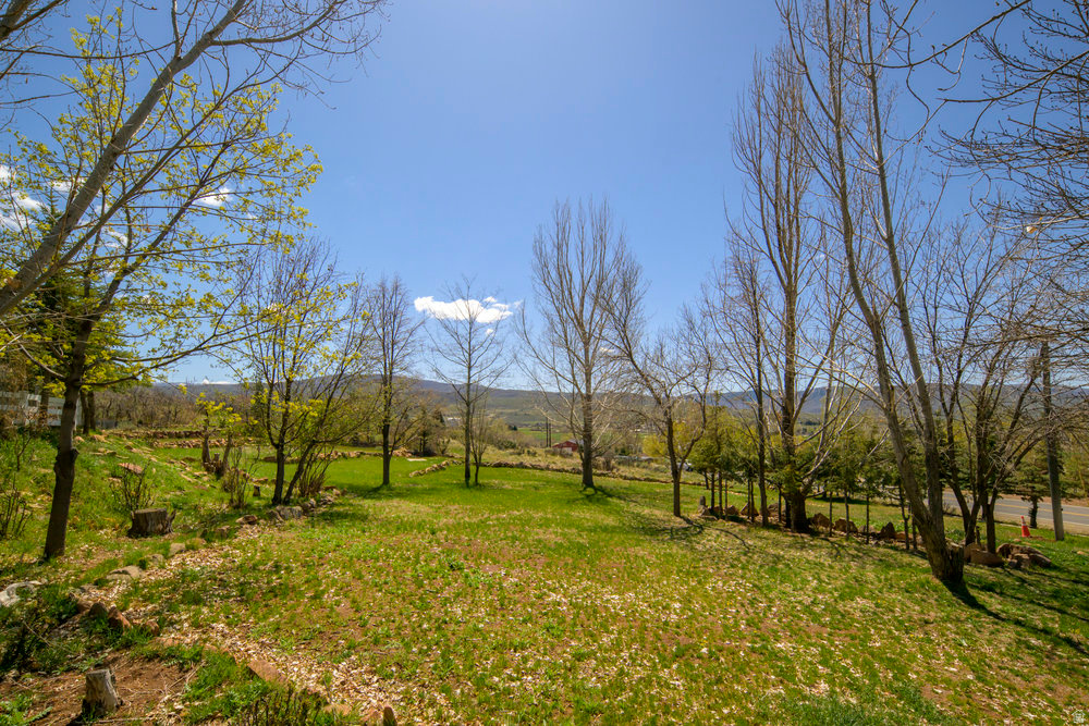 PACKER SMALL SUBDIVISION - Residential