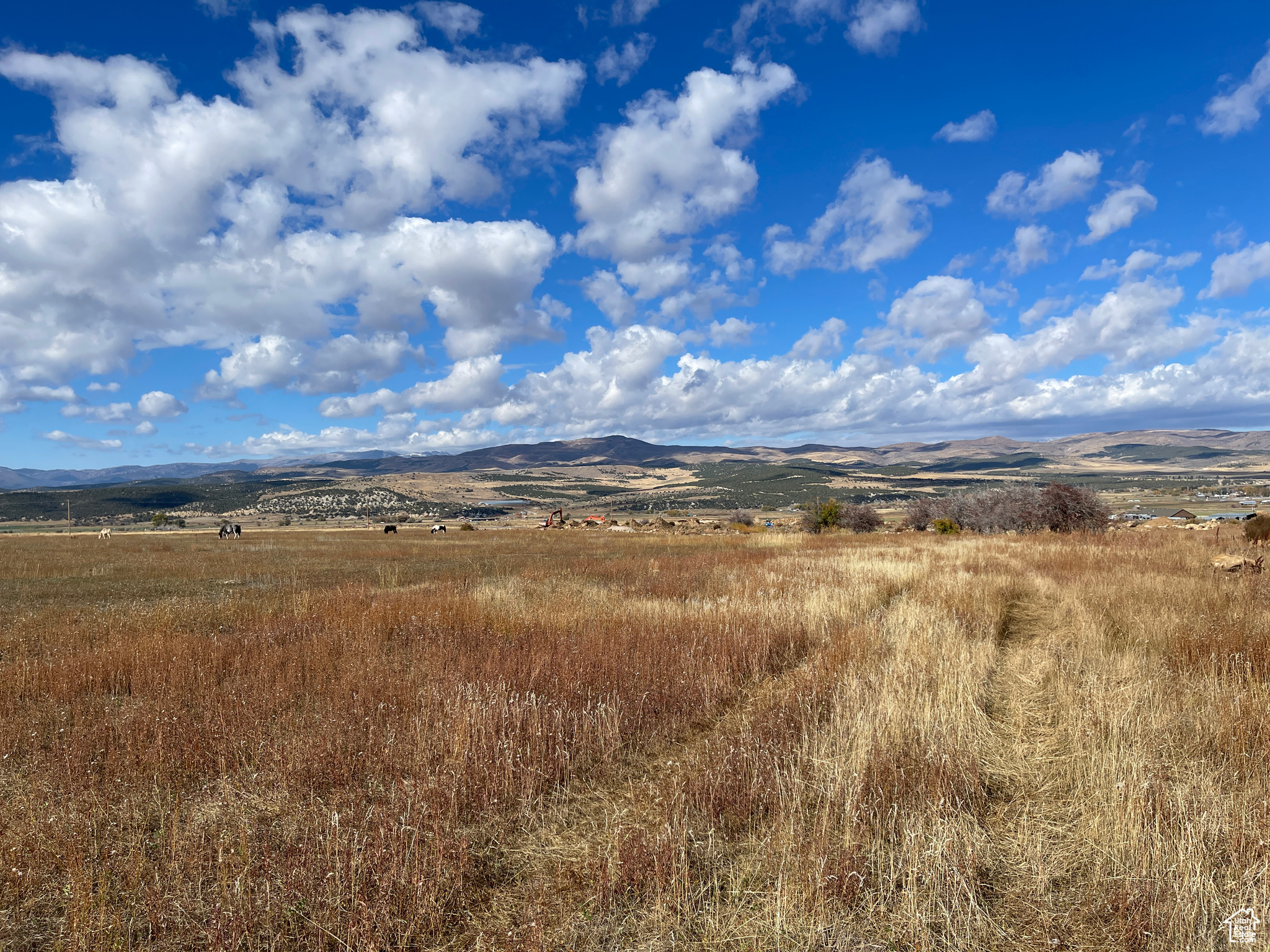 GOLDEN ACRES - Land