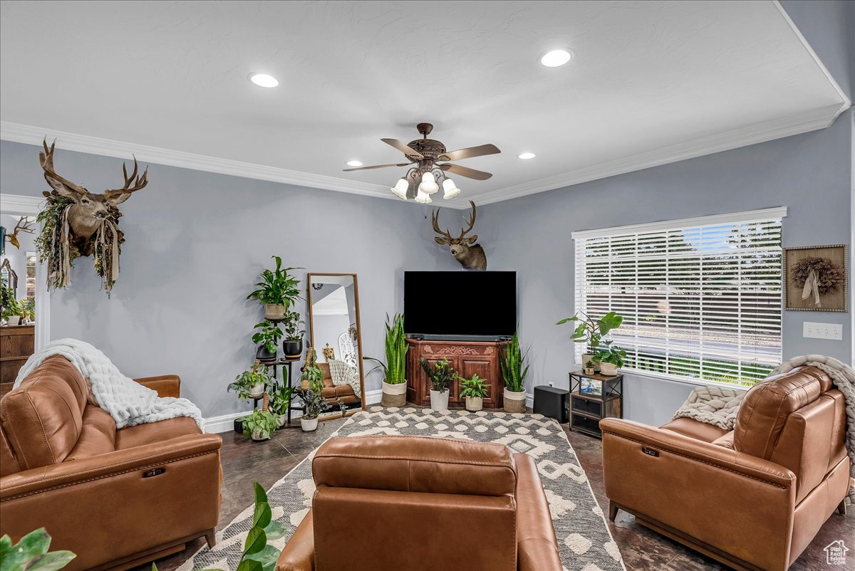 MILNE ESTATES - Residential