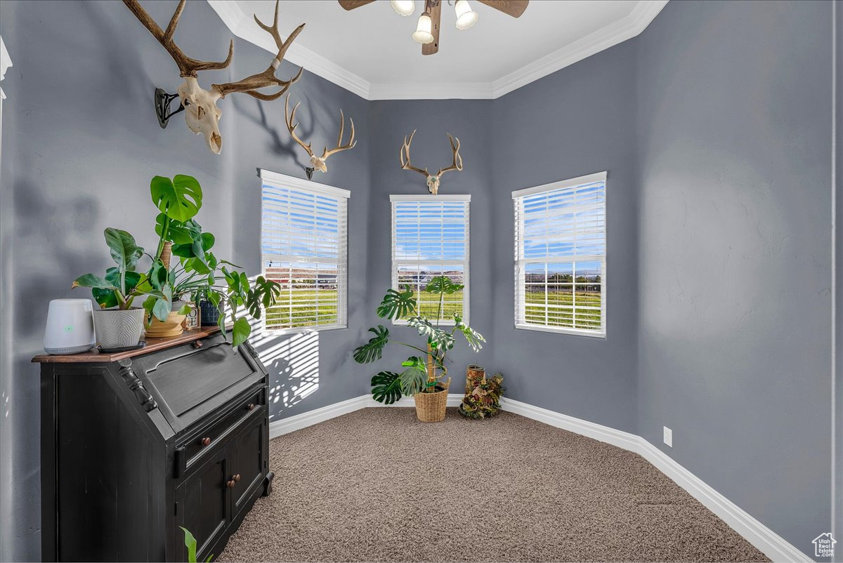 MILNE ESTATES - Residential