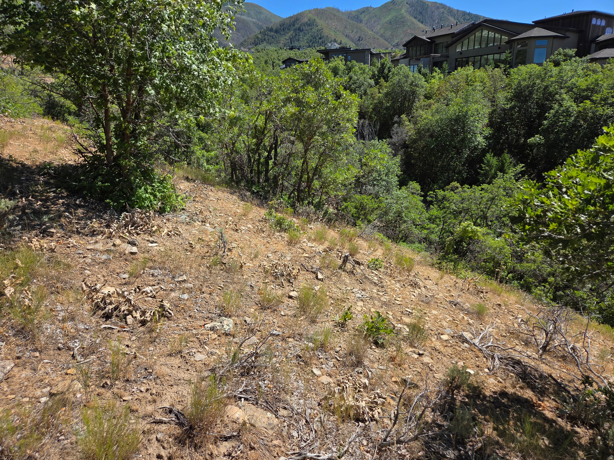 MOUNTAIN OAK ESTATES - Land