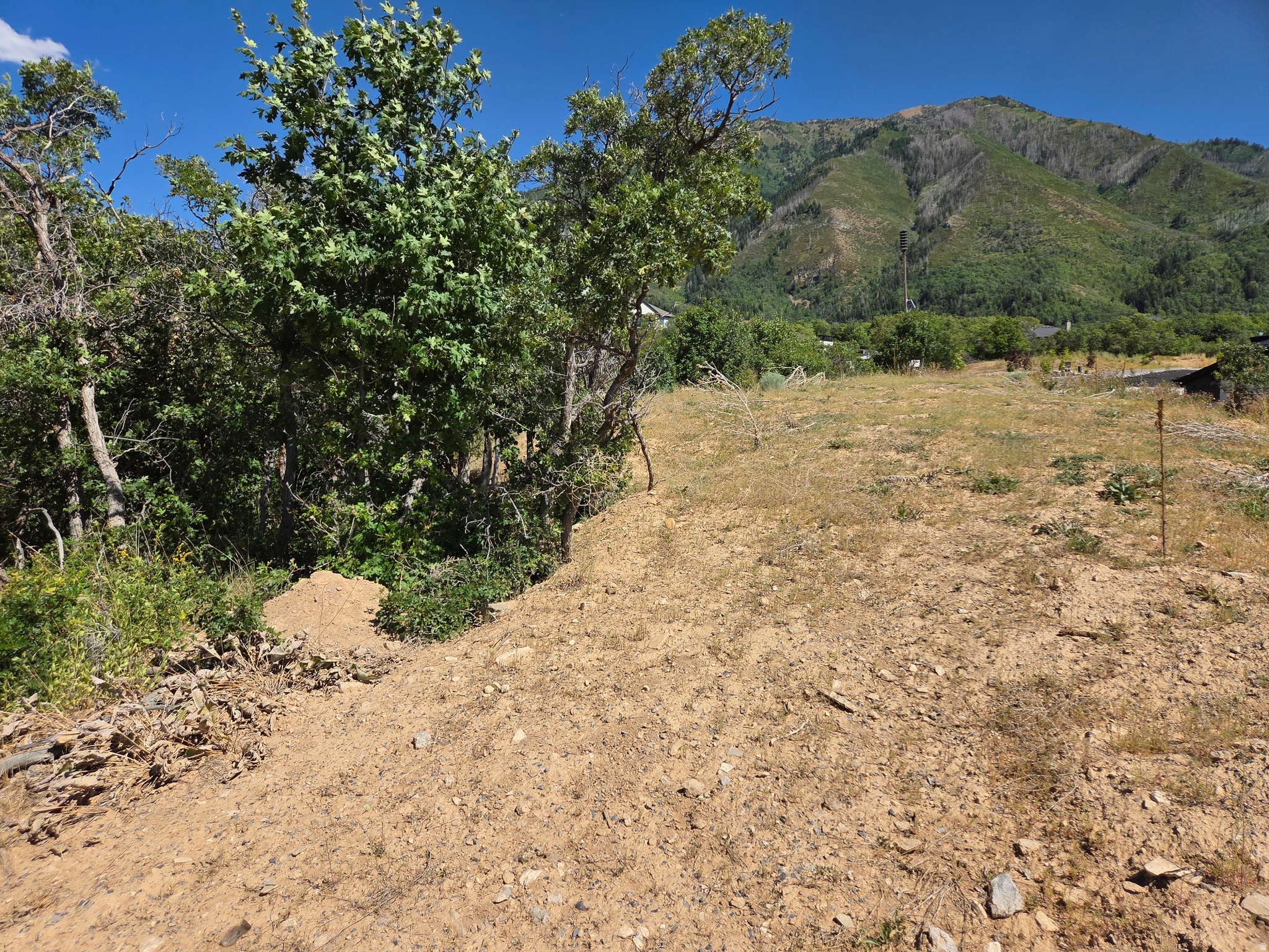 MOUNTAIN OAK ESTATES - Land