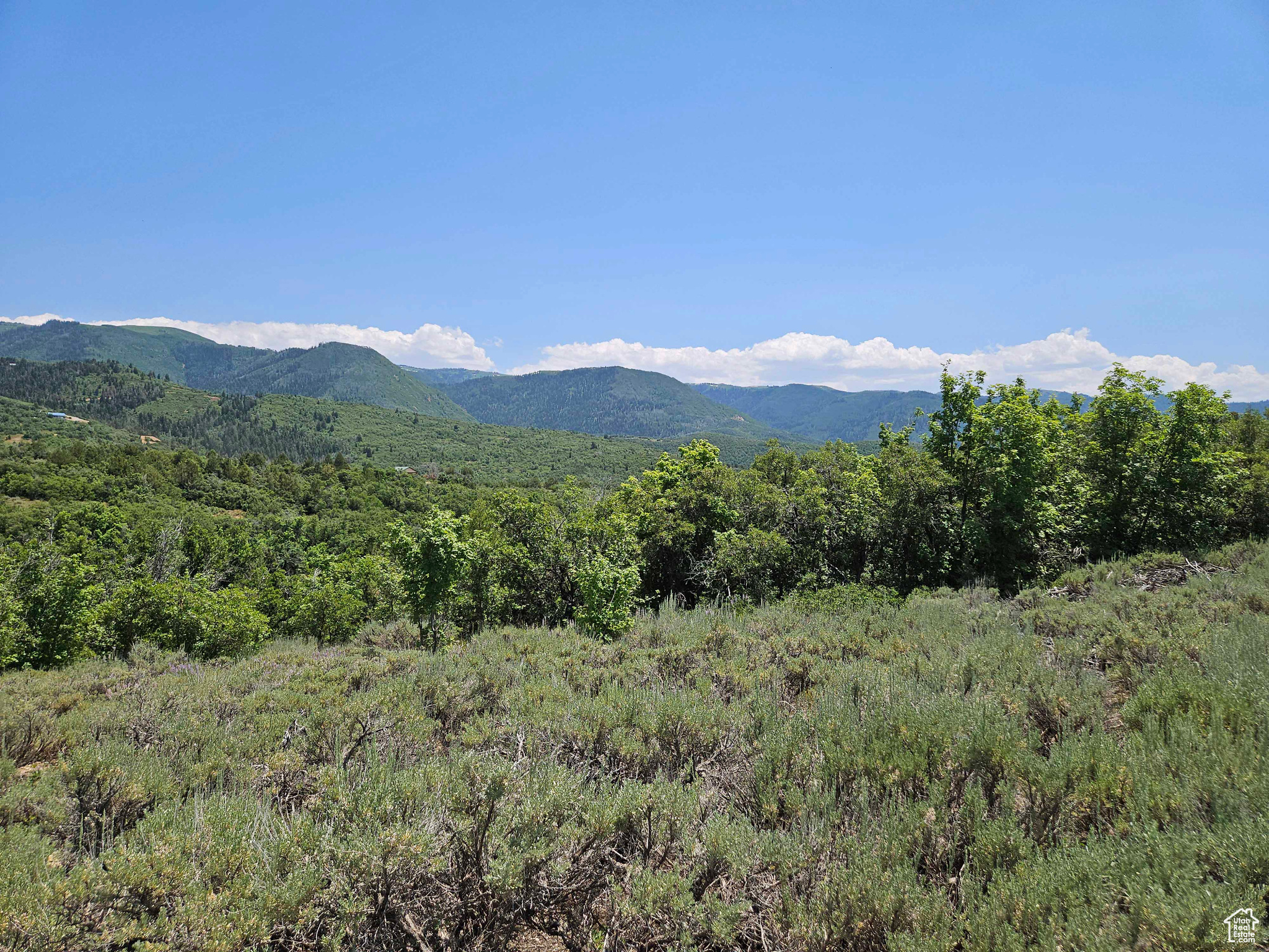 Lot - #155 in the Aspen Hills Subdivision. This property is located behind a locked gate within the subdivision. This allows a property owner access to the top of the property without having to use the Wolf Hollow Road below. Owner will provide buyer with a key at closing. Property has great views of the Manti La Sal Mountains and Sanpete valley. This property is located in a gated community. Contact listing agent for a Key to the Subdivision gates. Please use one of the South gates being gate 2 or gate 3. Gate 1 on the Aspen Hills road can be hard to open and close and the dirt road is not maintained - quite rough.