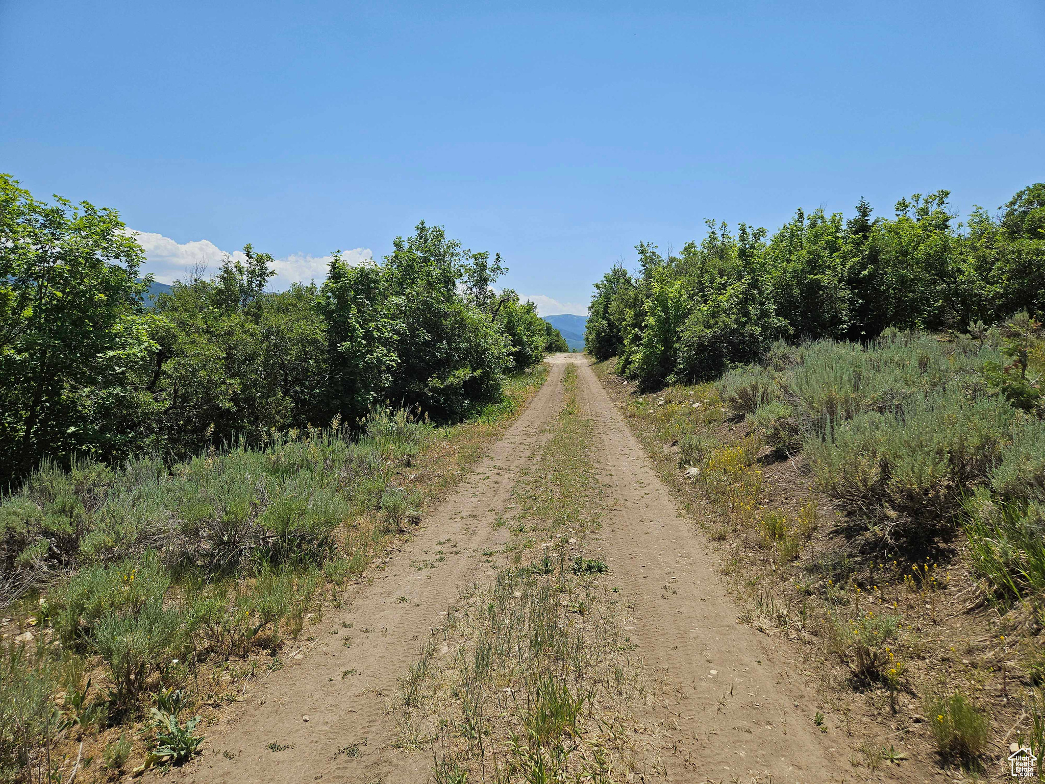 ASPEN HILLS - Land