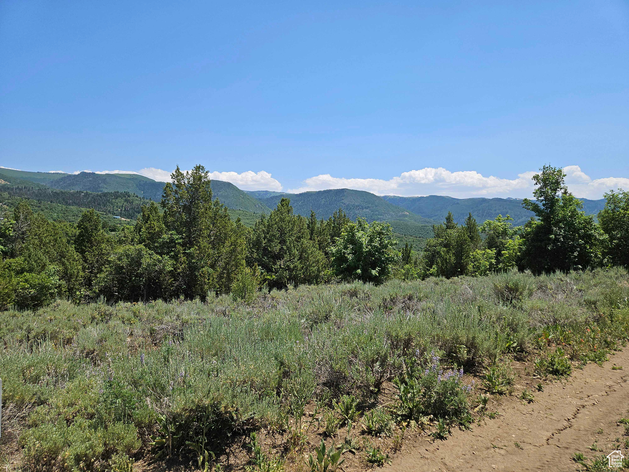 ASPEN HILLS - Land