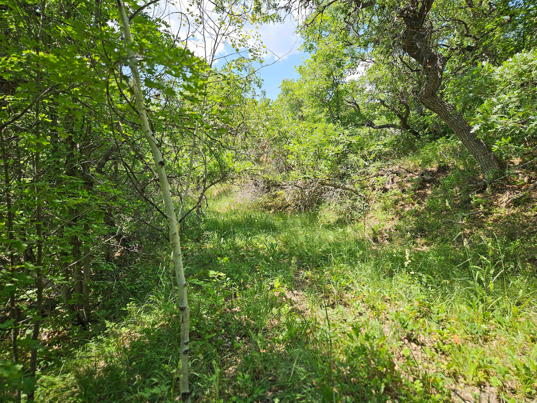 ASPEN HILLS - Land