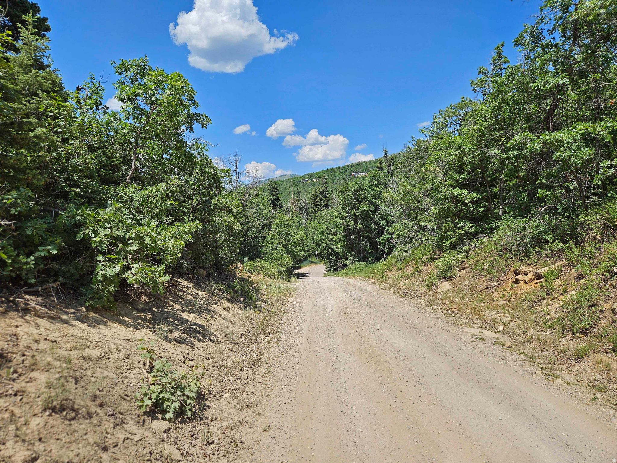 Lot 844 in the Aspen Hills Subdivision. Located in the upper section of the Aspen Hills Subdivision. Great mountain get away with plenty of pine trees & good road access. Great area for camping, trailers or cabins (excavation needed). This property is located in a gated community. Contact listing agent for a Key to the Subdivision gates. Please use one of the South gates being gate 2 or gate 3. The Aspen Hills road to Gate 1 is not maintained - quite rough.