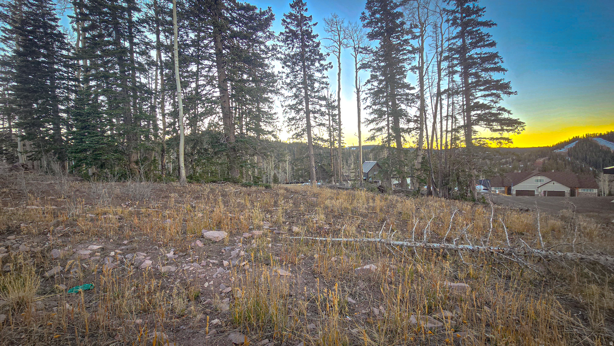ASPEN CREST - Land