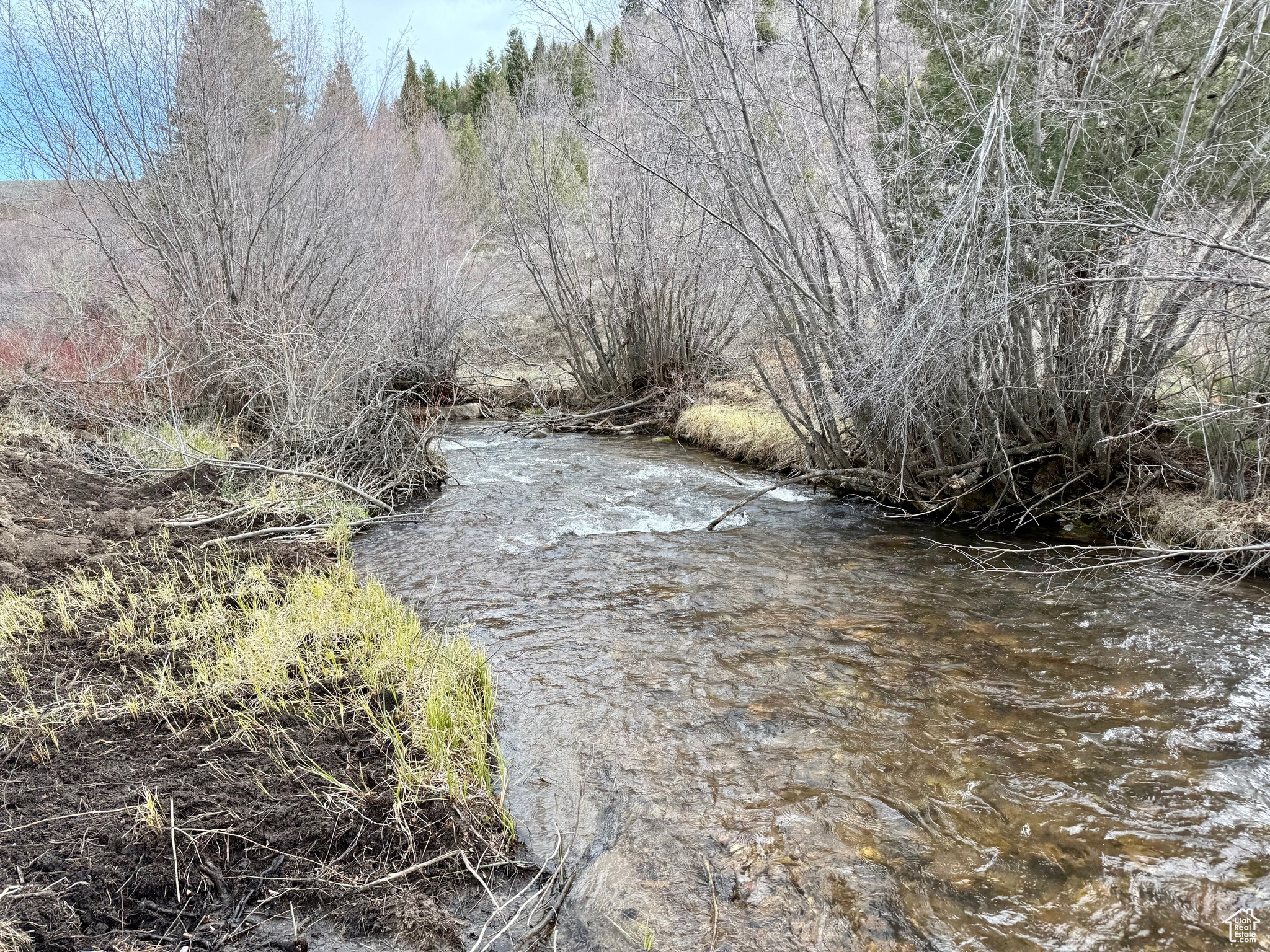Located approximately 1.7 miles west of Bloomington along scenic Bloomington Canyon Road-and just east of the city water tank and trailhead-this 10.83-acre property is a haven for outdoor enthusiasts and nature lovers alike. With panoramic views of Paris Peak and a peaceful stretch of Bloomington Creek running through the property, this mountain parcel offers the perfect off-the-grid lifestyle. Build your dream retreat, pitch a tent, or park your camper and soak in the sights and sounds of untouched Idaho wilderness. Whether it's fishing, exploring trails, spotting moose and deer, or simply relaxing in the shade of the canyon, this is where adventures begin. Call today to walk the land and make it yours! Available year round! Power close by. Camp, build your dream home or short-term rental!  Enjoy all of Bear Lake!  Only about 15 min to North beach, 20 min. to Garden City shops and restaurants and 20 min to Bear Lake County airport!