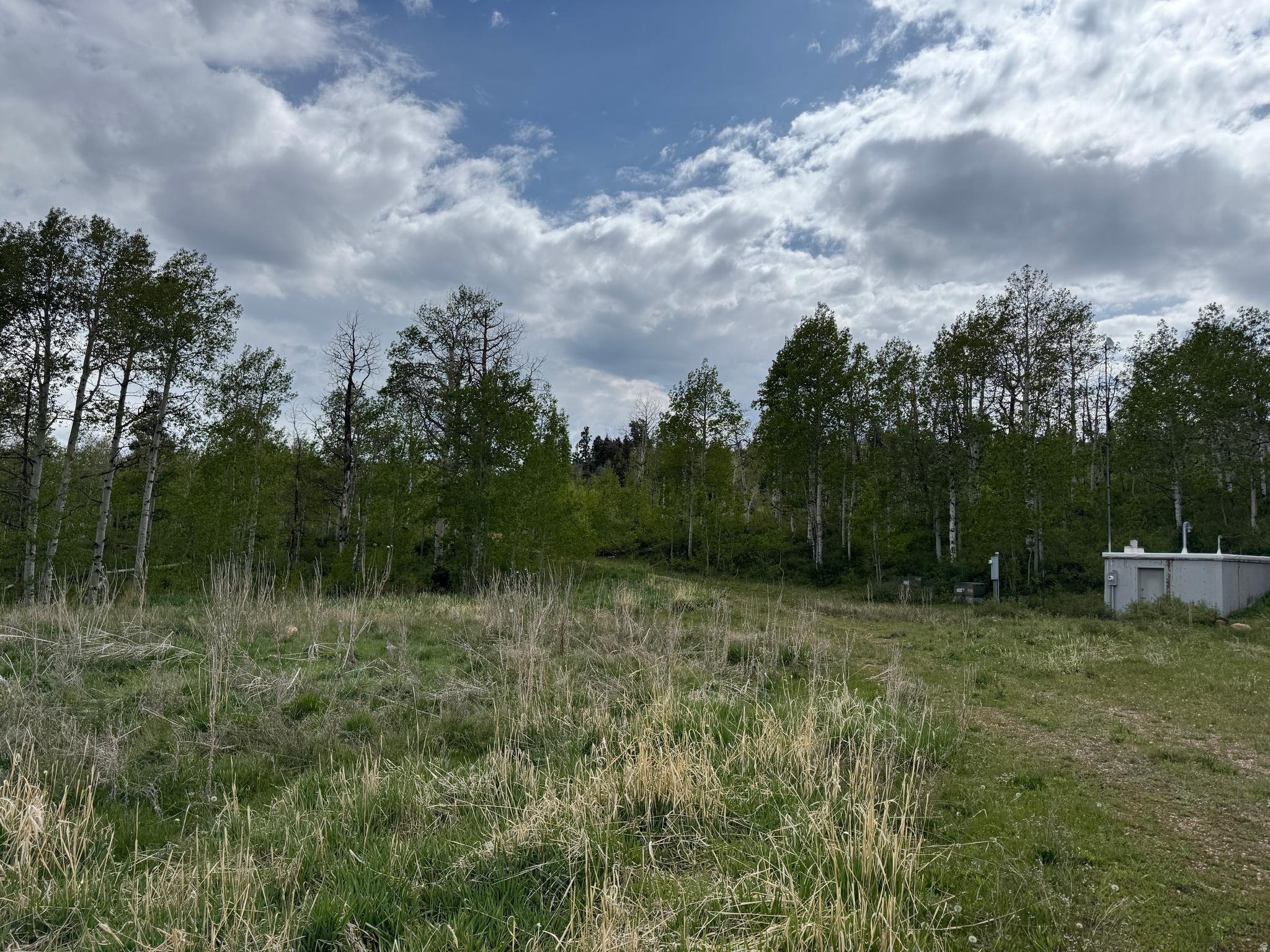 PINE MEADOW RANCH - Residential