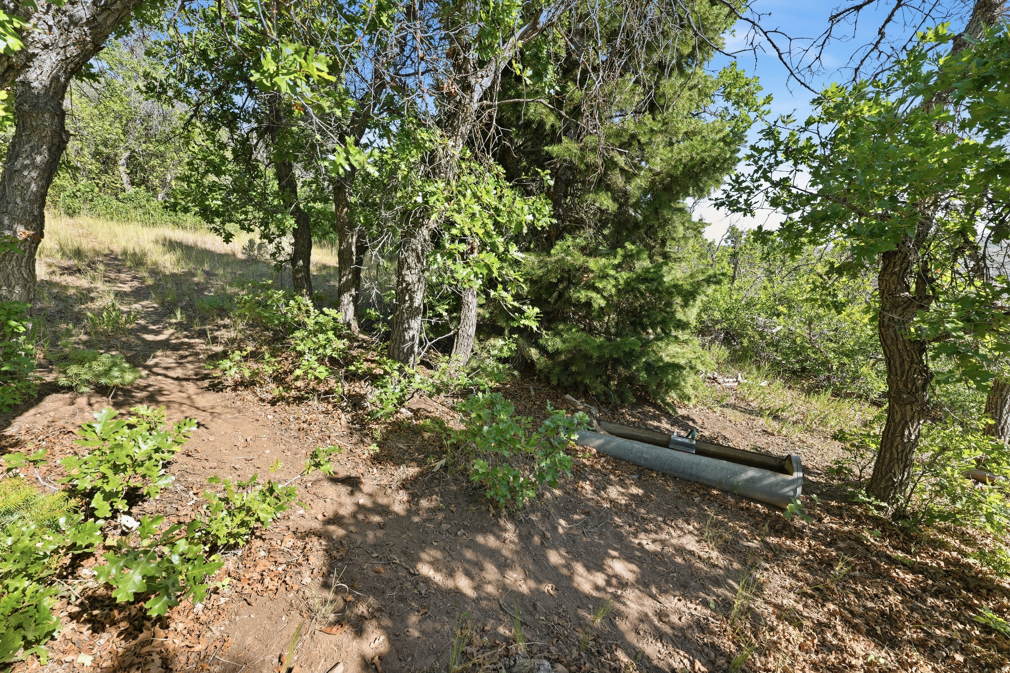 HOLIDAY OAKS ESTATES - Land