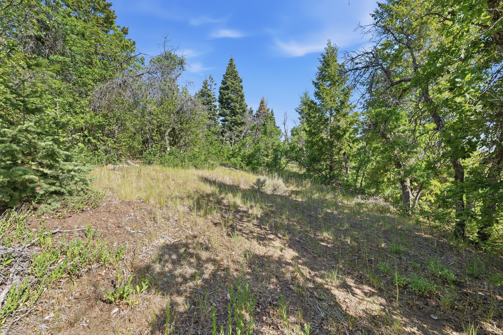 HOLIDAY OAKS ESTATES - Land