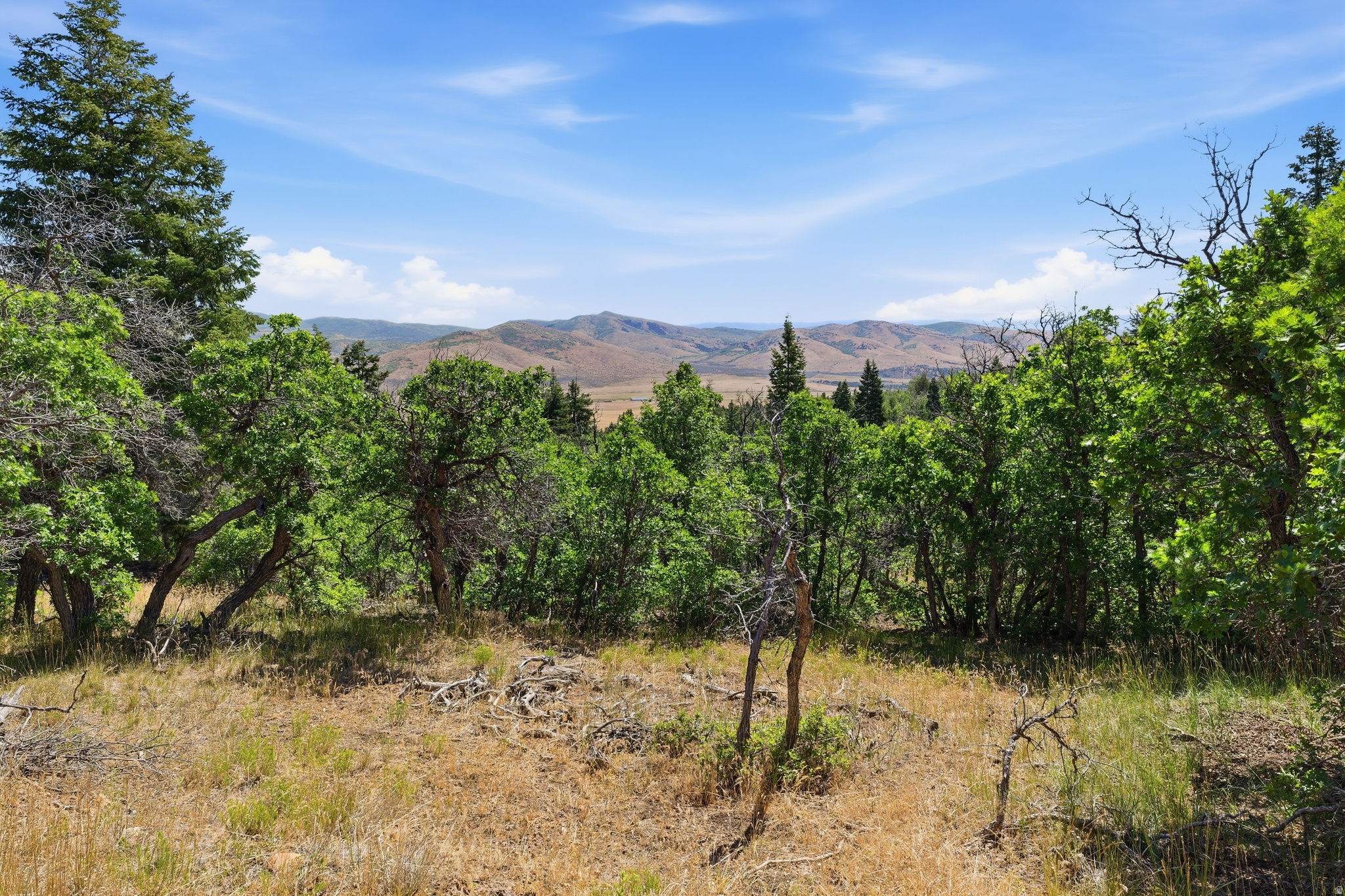 HOLIDAY OAKS ESTATES - Land