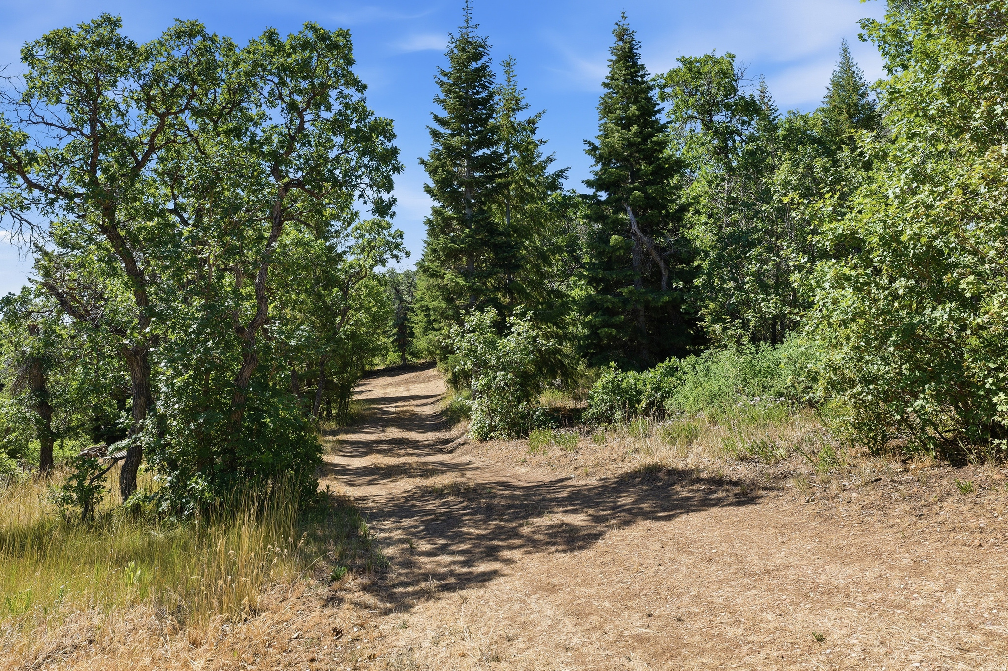HOLIDAY OAKS ESTATES - Land