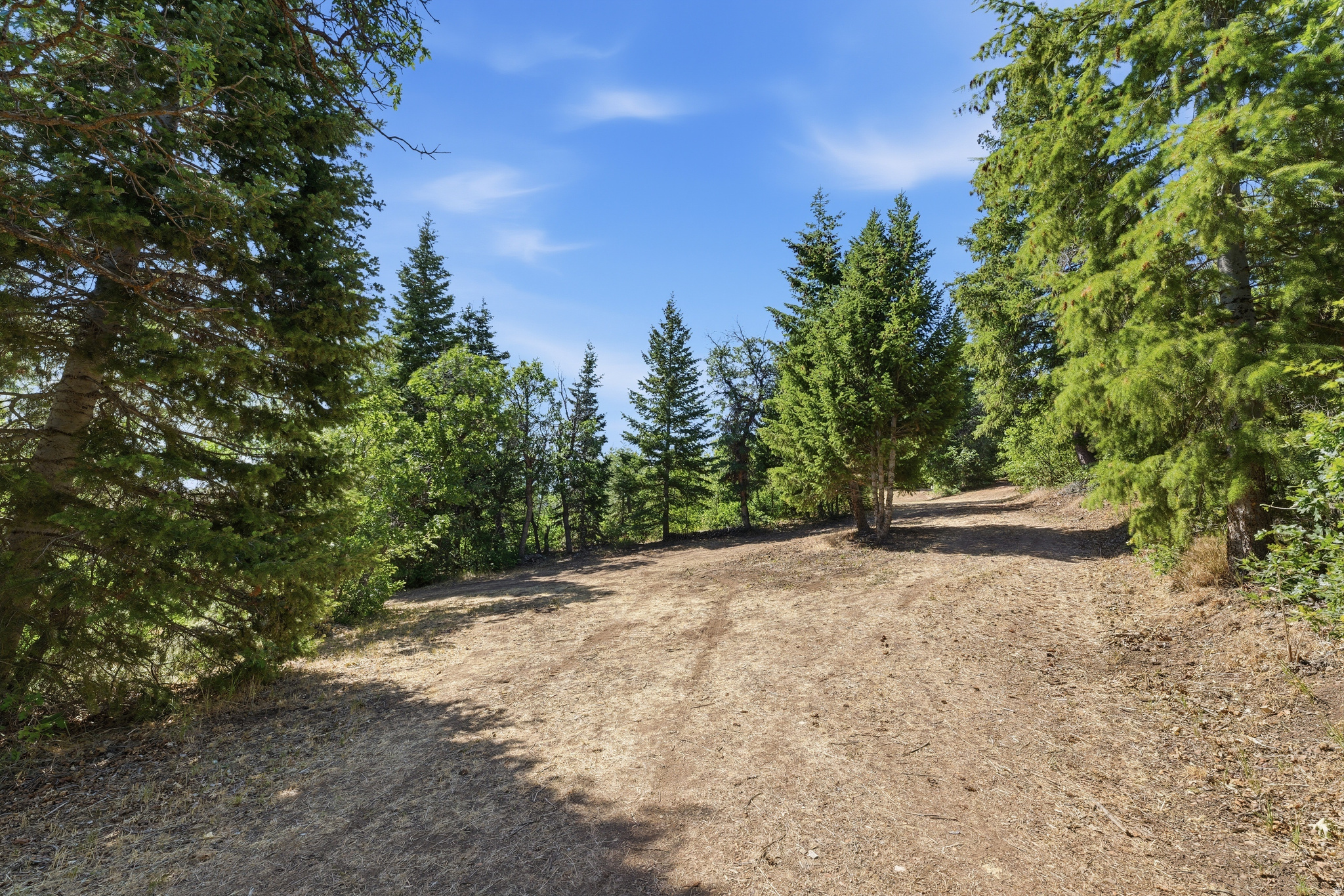 HOLIDAY OAKS ESTATES - Land