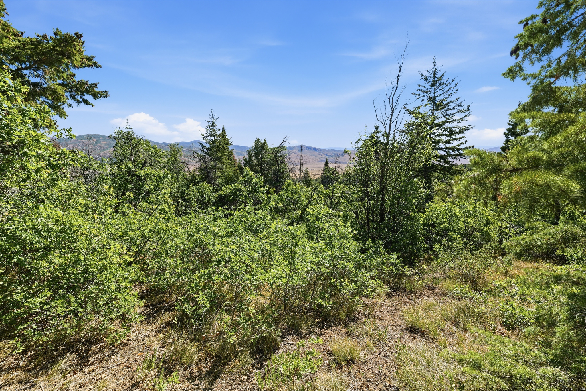 HOLIDAY OAKS ESTATES - Land
