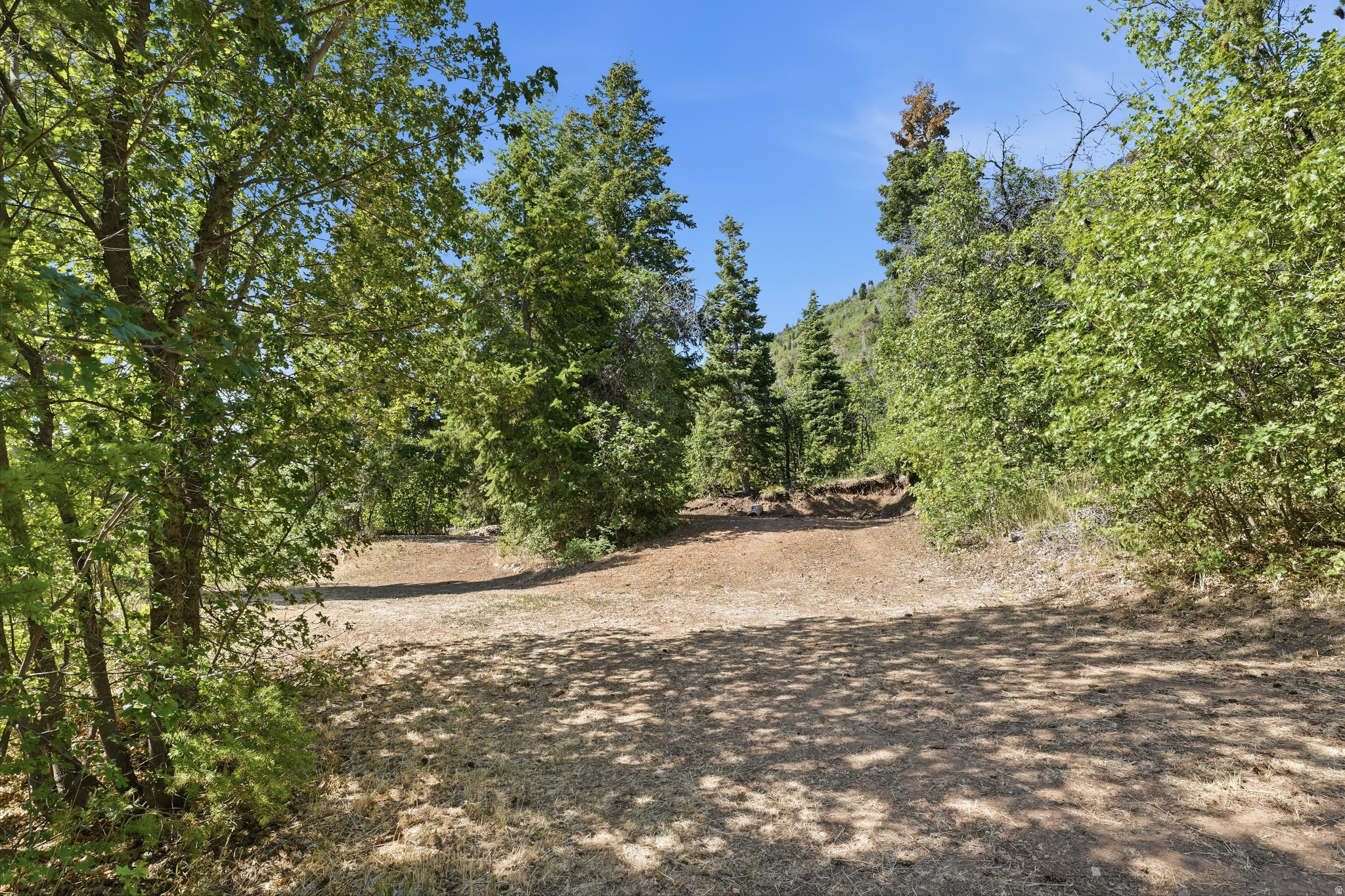 HOLIDAY OAKS ESTATES - Land