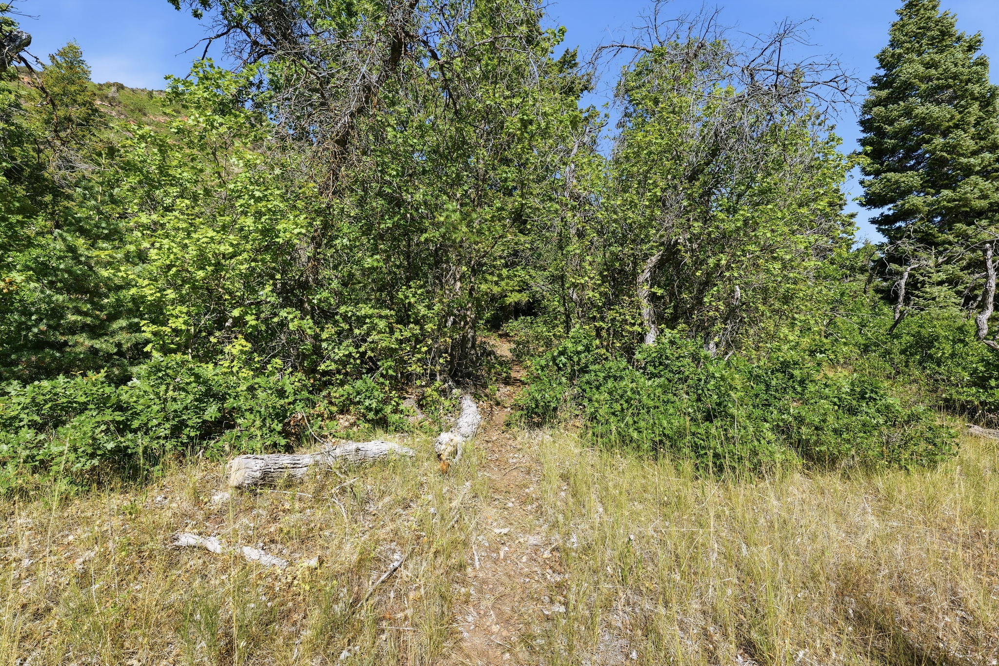 HOLIDAY OAKS ESTATES - Land