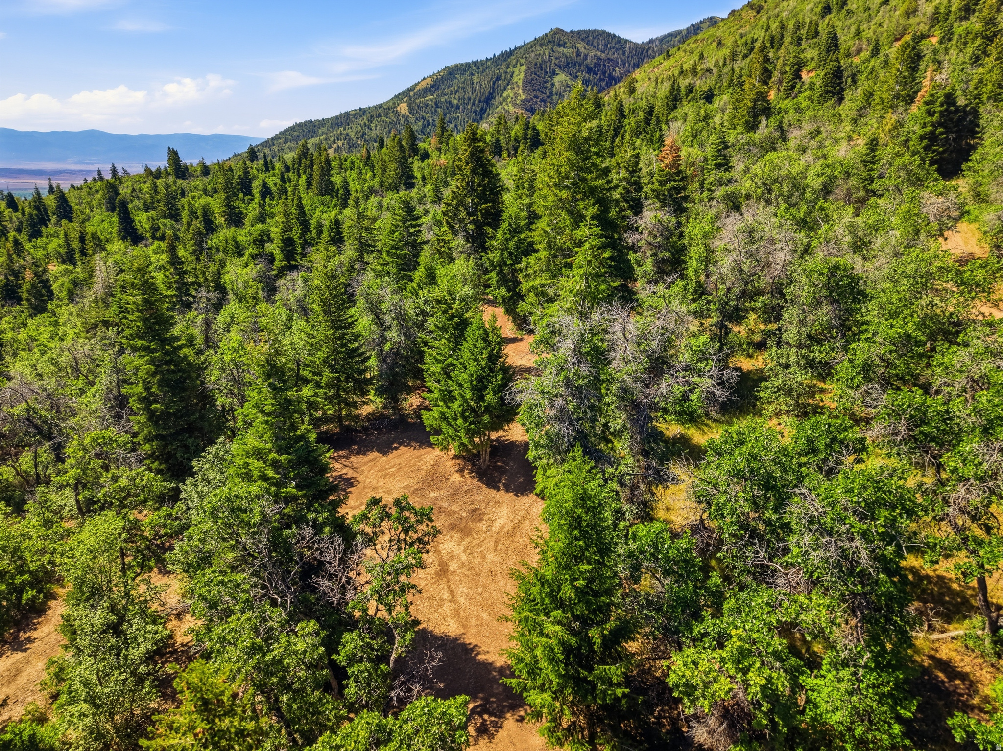 HOLIDAY OAKS ESTATES - Land