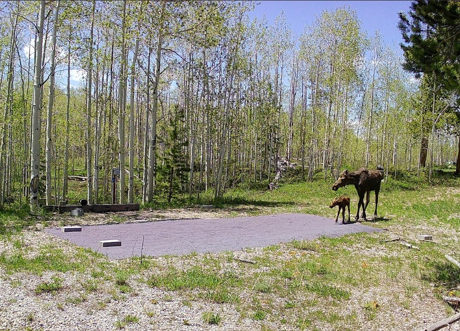 Perfectly peppered with Aspen and Pine trees, this lot is a gem and won't last long. Located in the Uintalands gated community and tucked near the back of a quiet dead-end road, this property offers serenity, privacy and views of Deadman Mountain. Improvements are already in place, for an RV or Tiny Home retreat, including: a large gravel pad, 1,000-gallon septic system, two electrical hookups-each equipped with standard 120V outlets and 30-amp RV service, and a frost-free faucet connected to the Uintalands Association water system. A sturdy shed and decorative metal fire ring put the icing on the cake for your ready-to-enjoy-now mountain retreat.