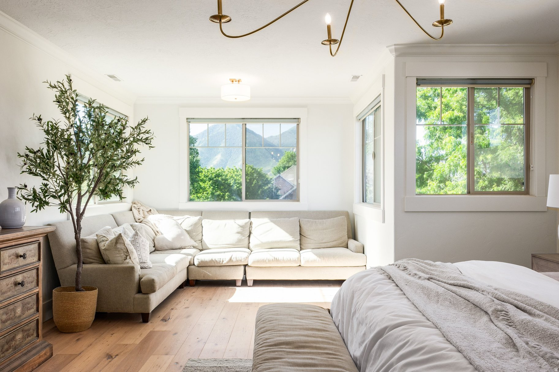 PARK MEADOWS ESTATES - Residential