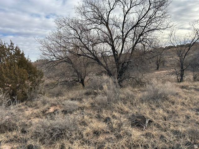 5 acres just off 4000 west, property is only 5 minutes from Roosevelt. Zoned residential, could likely be rezoned industrial. Water and power are along 4000 West. Owner/Broker