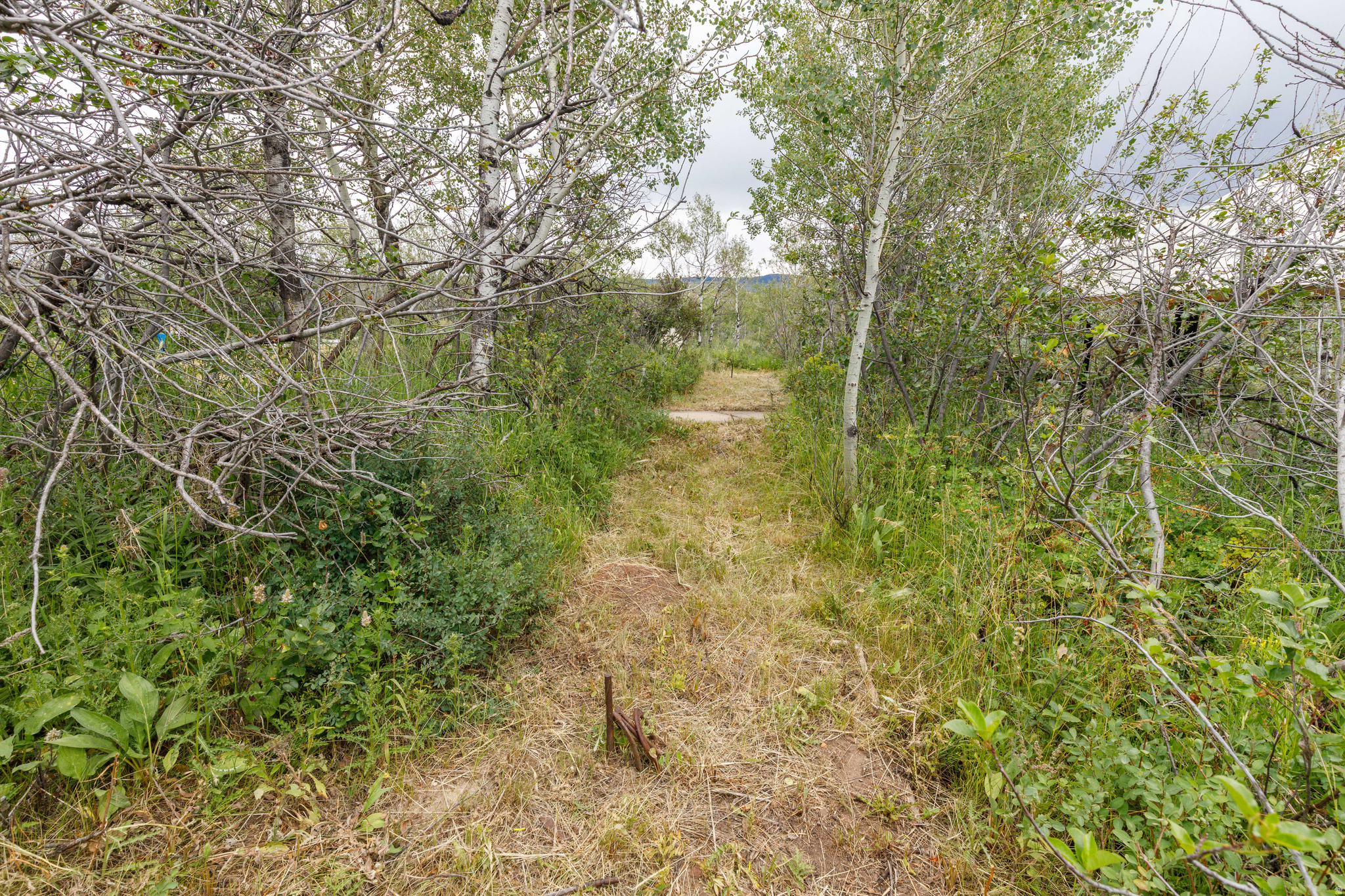 SCARE CANYON - Residential