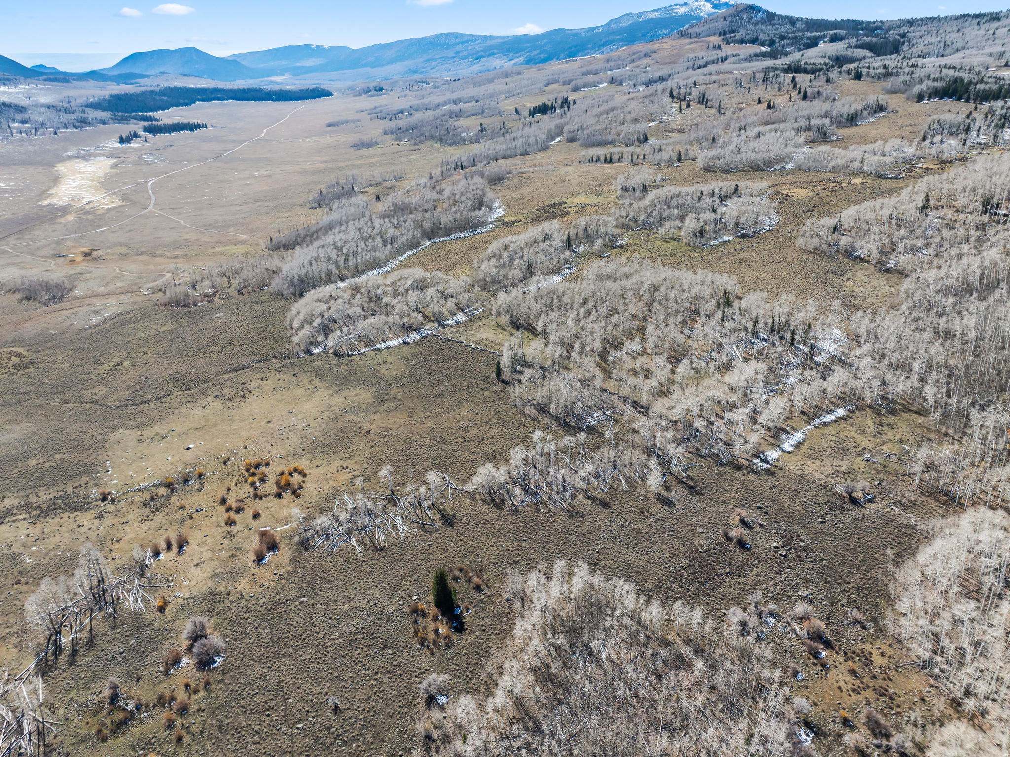 SHEEP VALLEY ESTATES SUBDIVISION - Land