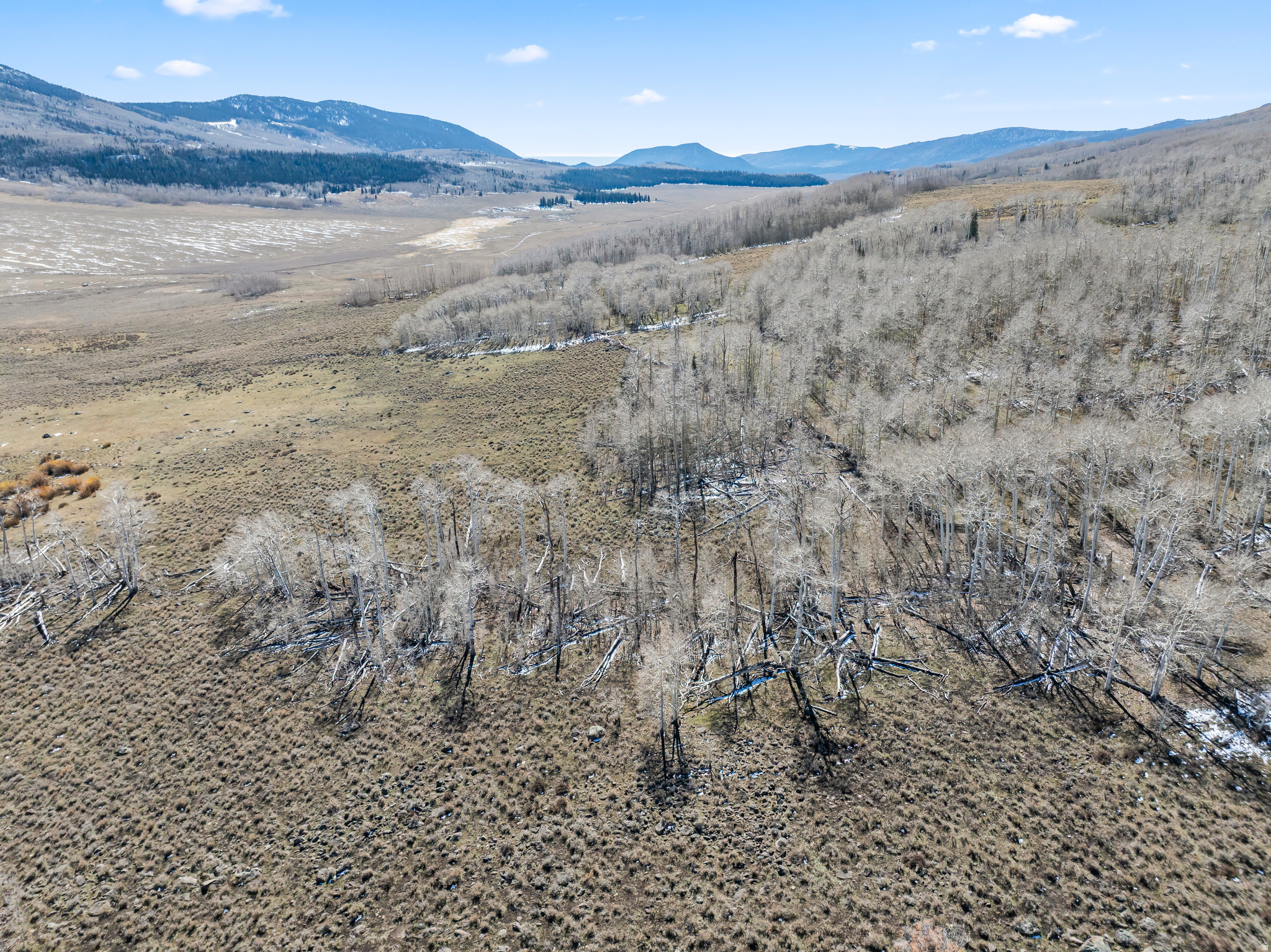 SHEEP VALLEY ESTATES SUBDIVISION - Land