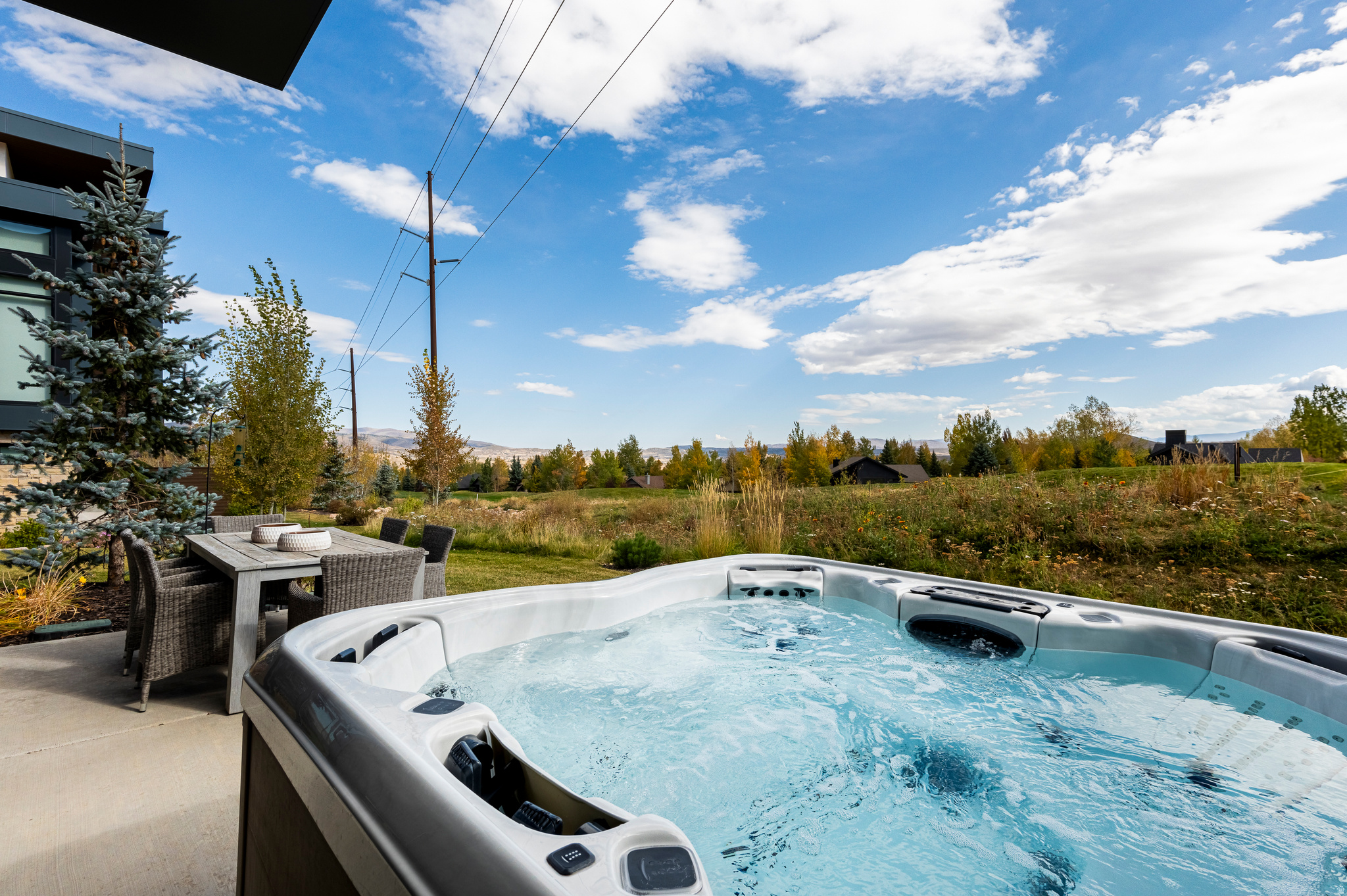 VIRIDIAN CONDOS - Residential