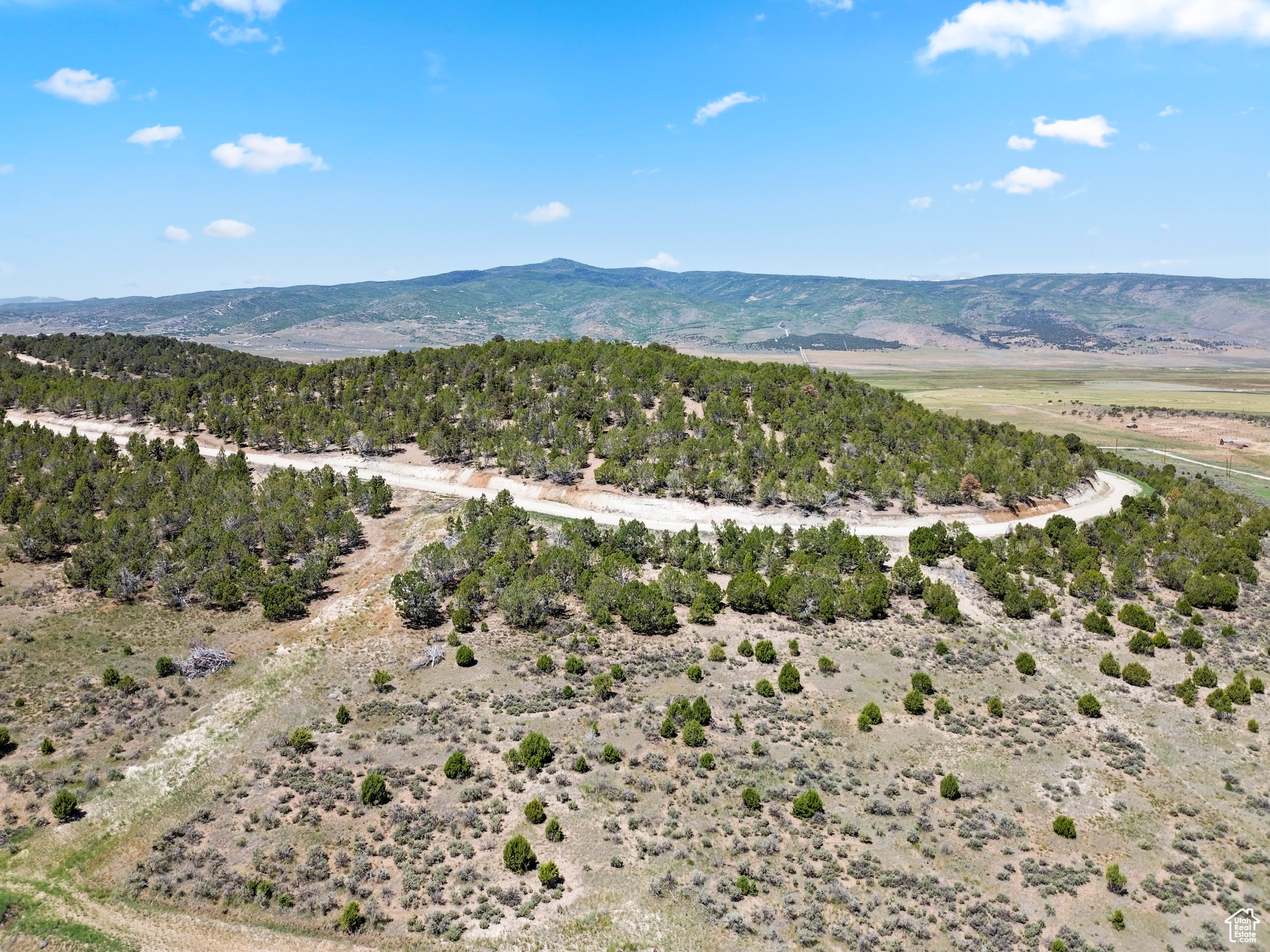 Escape the hustle and embrace mountain serenity with this beautifully treed, 1acre recreational lot nestled in Blackhawk Mountain Estates. This parcel offers a perfect blank canvas for your dream getaway-whether you envision a cozy cabin, RV basecamp, or just a peaceful retreat surrounded by nature. Just 30 minutes southeast of Spanish Fork, and approximately 66 miles to Salt Lake City, this community blends easy access with remote charm. Year-round access ensured by maintained roads; though winter may invite mud, snowmobiles keep life vibrant. Internet and water are available and power will be installed soon. Community will be gated and heavily forested, offering privacy and security.