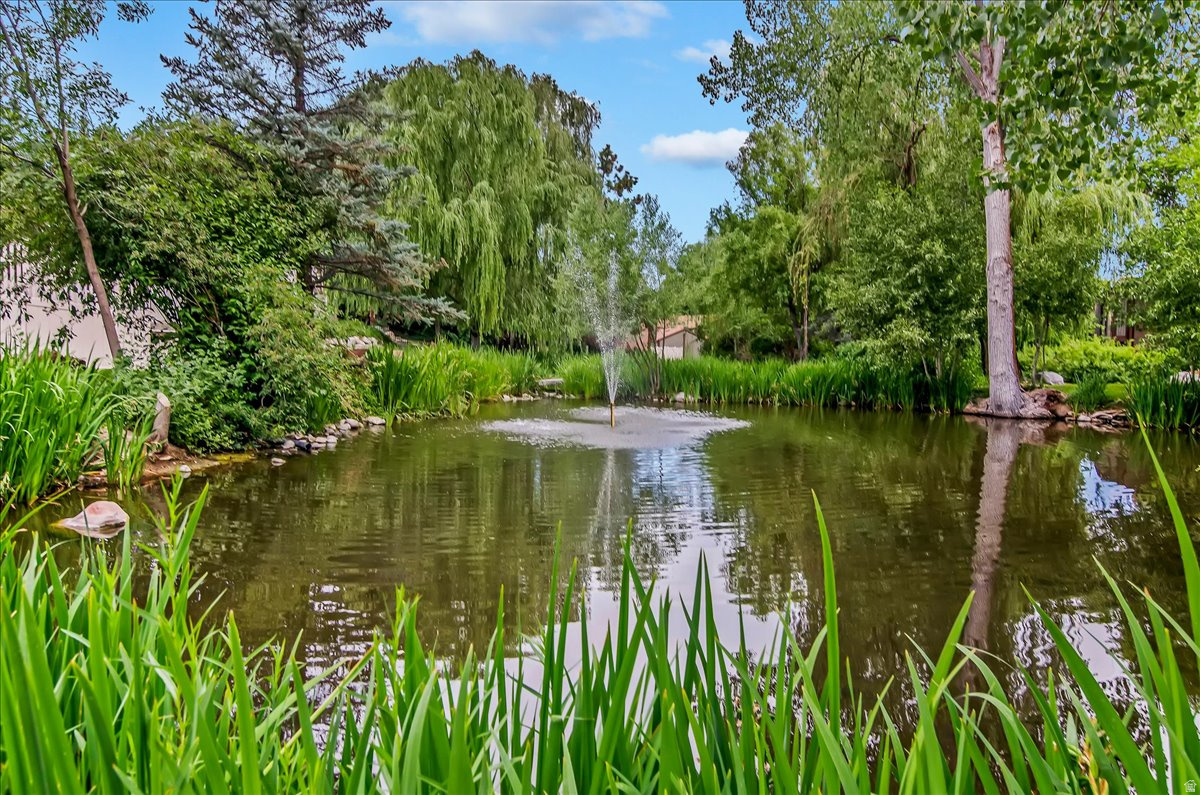 WILLOWS - Residential