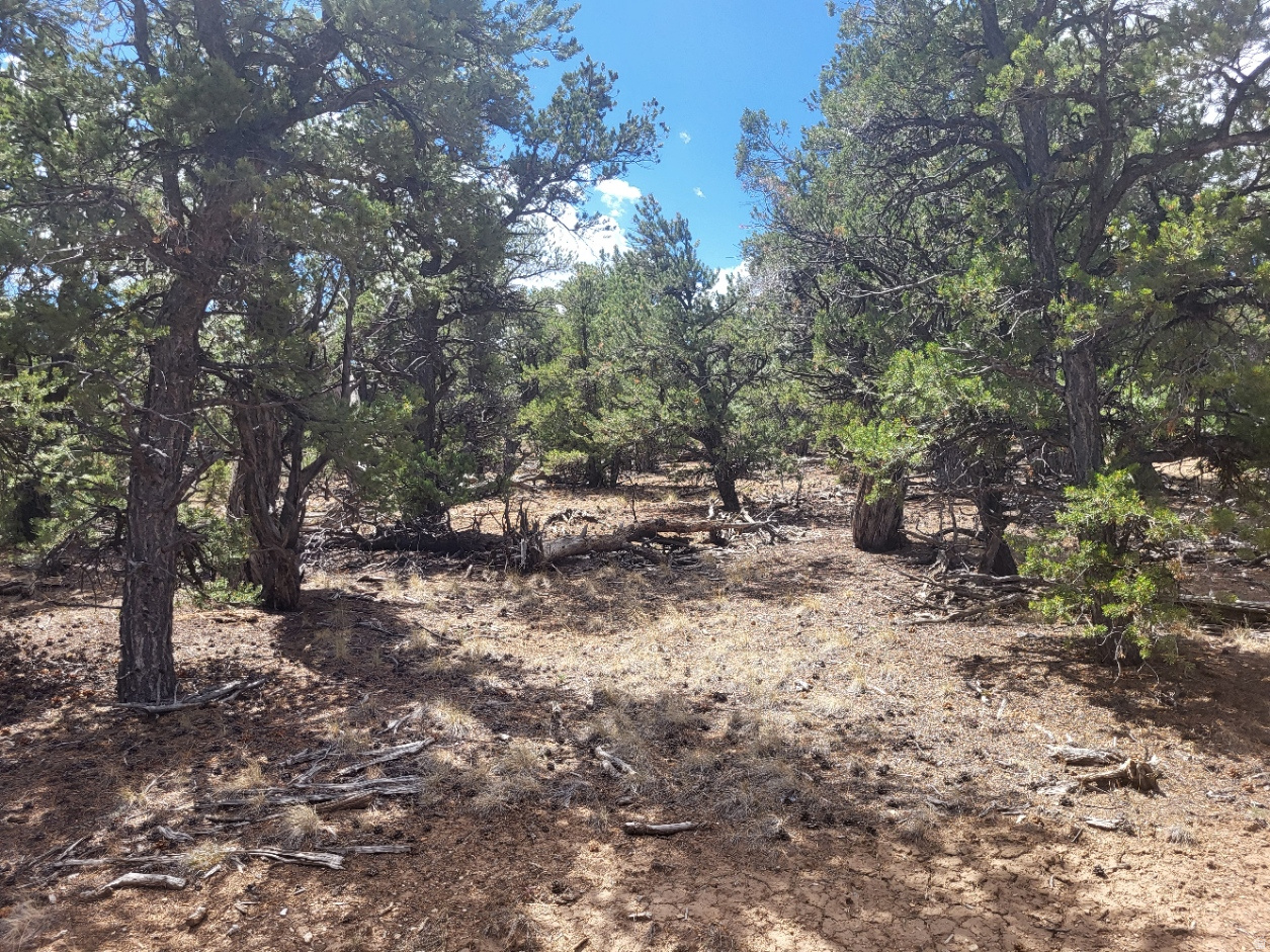 $79,000. Seize the opportunity to own a premier 10.15-acre mountain retreat at an incredible new value. This wooded recreational parcel offers mostly flat, usable terrain and a rare on-site natural seep/well. Located just two hours from Salt Lake City, the property provides easy year-round access via a nearby county road and is perfectly situated near Starvation and Strawberry Reservoirs. Whether you're seeking a private backcountry escape for hunting, fishing, or riding miles of trails, this property is a versatile, all-season destination. Buyer and buyer's agent to verify all information.