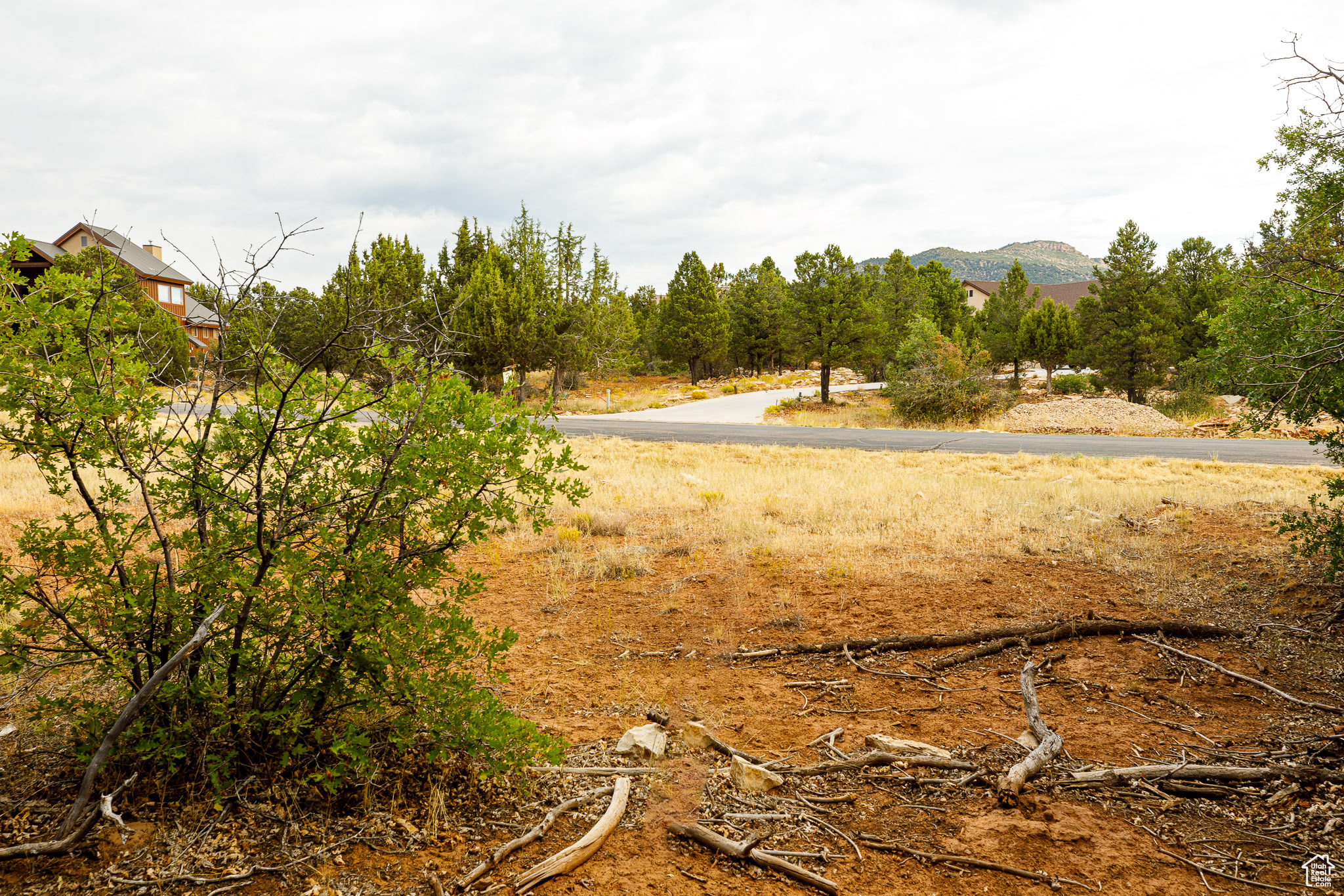 ZION RIDGE - Land
