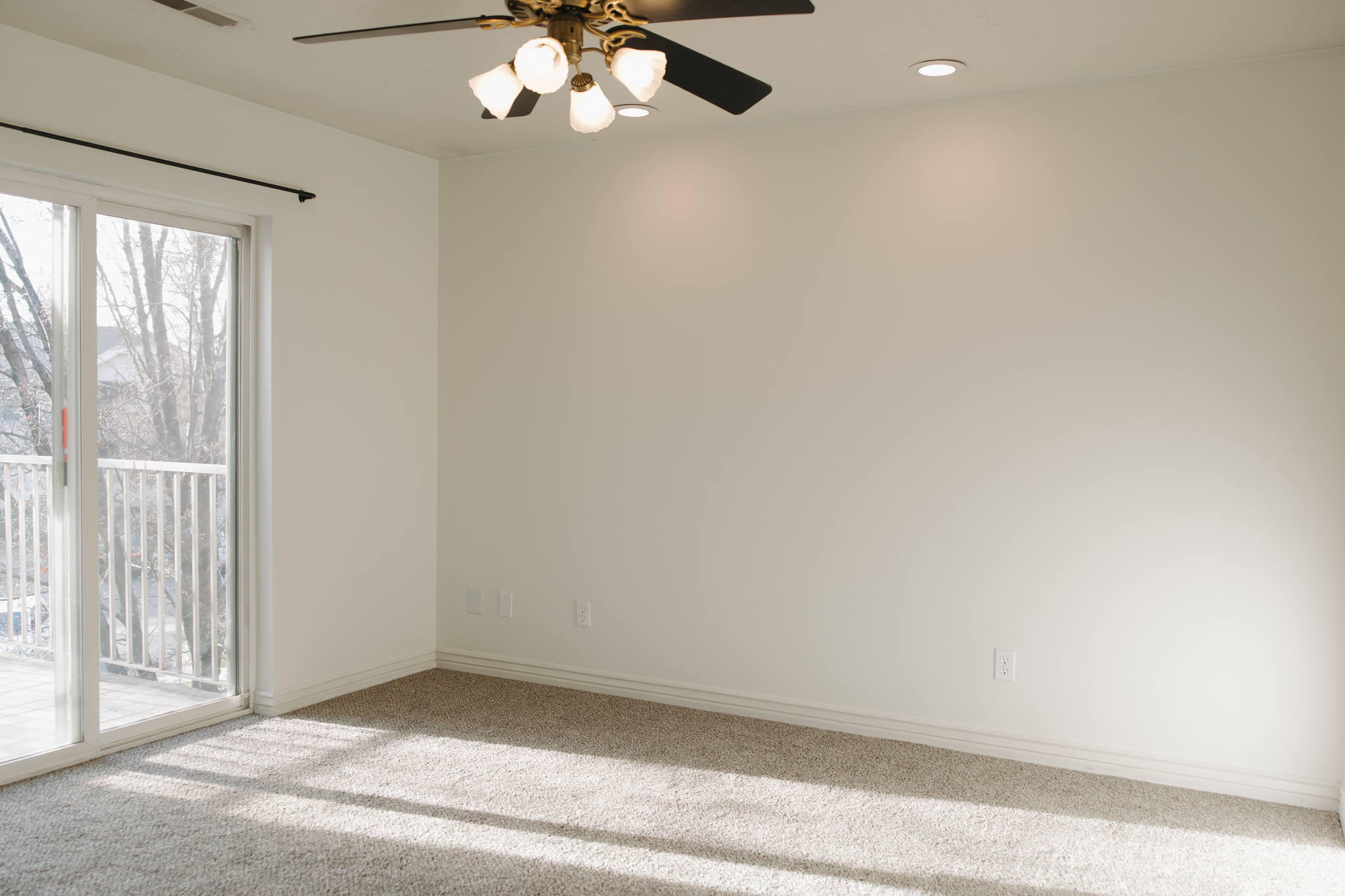 FRANKLIN PARK CONDO - Residential