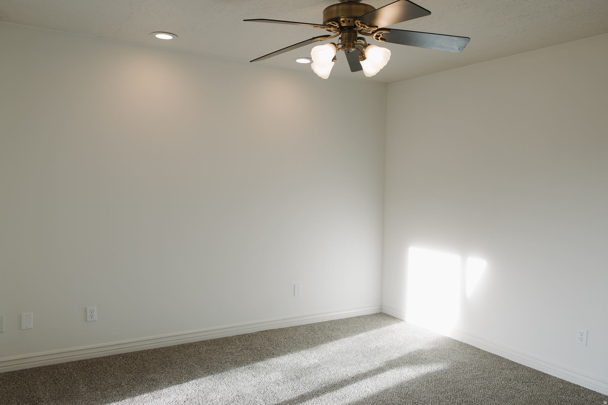 FRANKLIN PARK CONDO - Residential