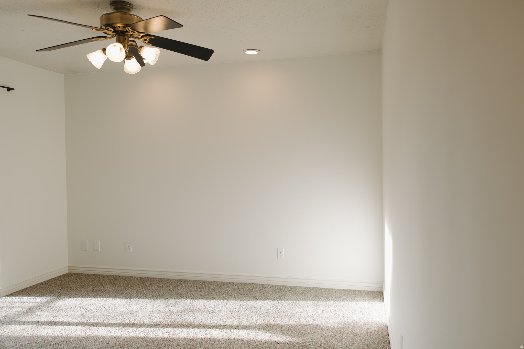 FRANKLIN PARK CONDO - Residential