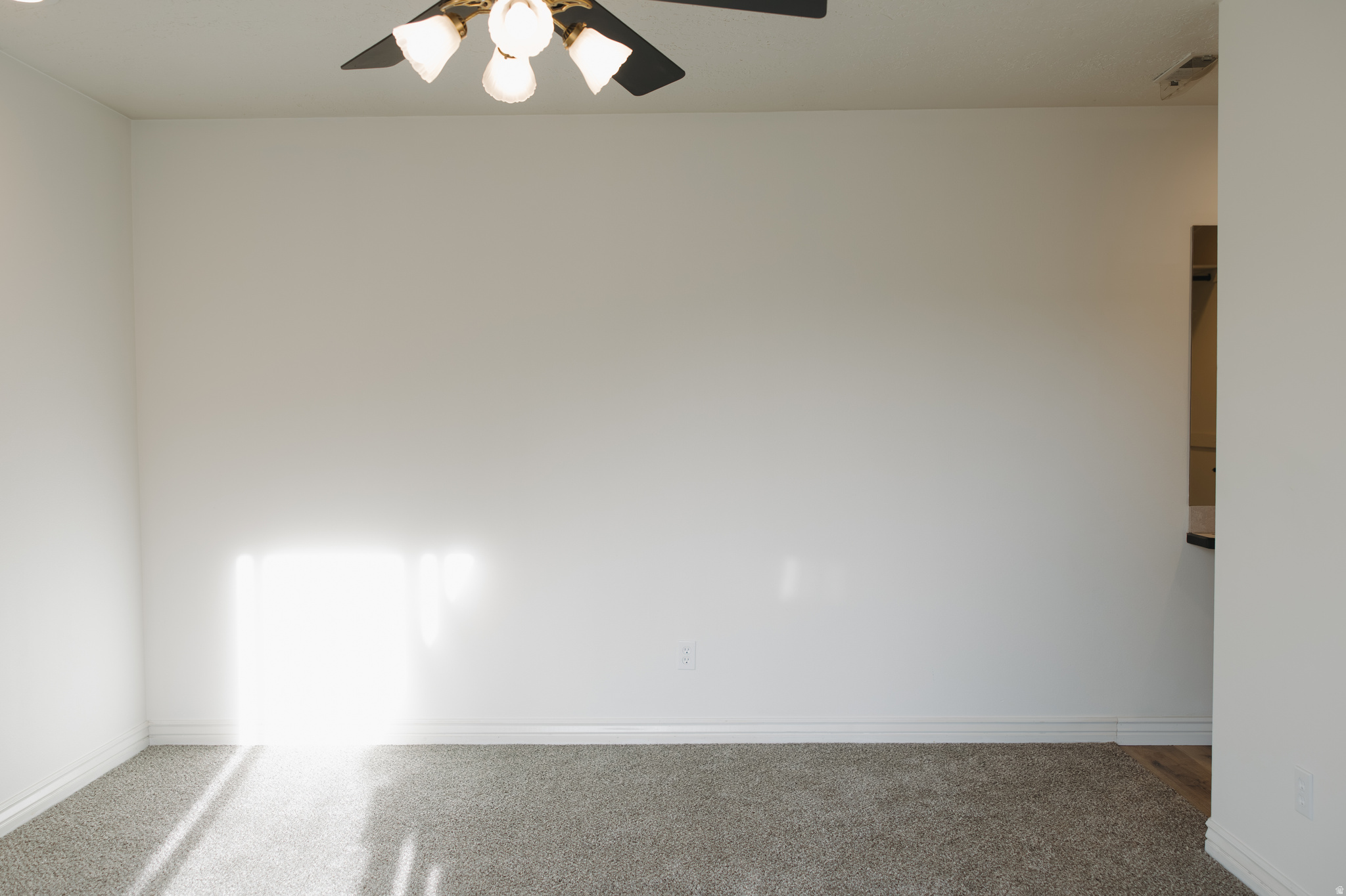 FRANKLIN PARK CONDO - Residential