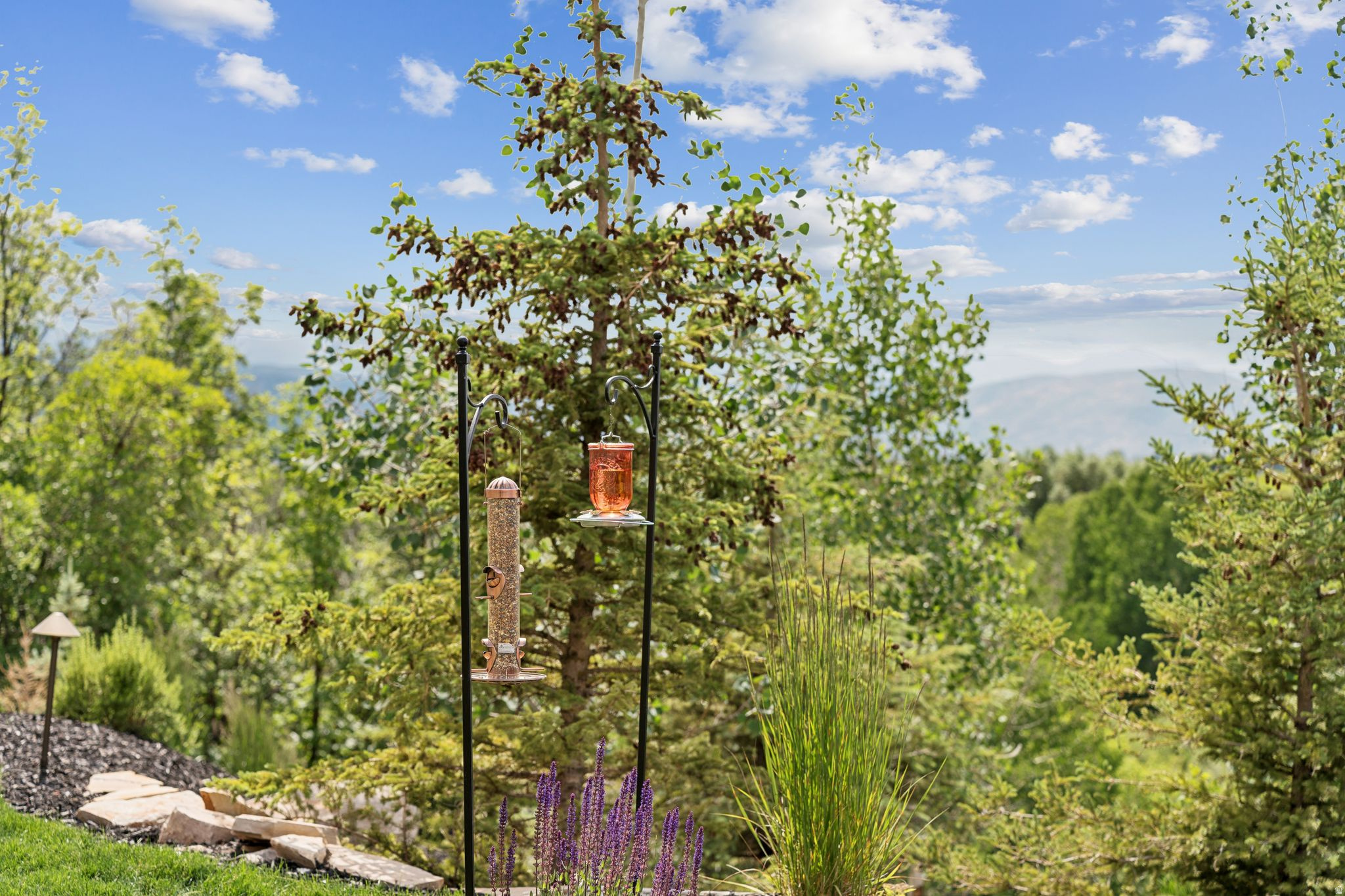 WEBER WILD ESTATES - Residential