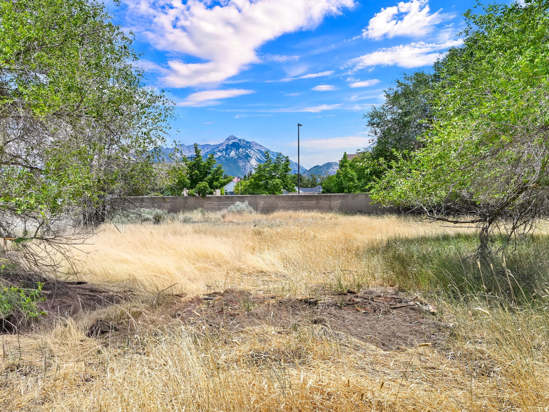 Rural oasis in the Valley! Build your dream home on this one acre property located on a quiet, private lane with mountain views. Just blocks from trailheads entering Dimple Dell, a 630-acre natural open space featuring over 15 miles of trails for equestrians, hikers, and cyclists. The zoning is A-2 (agricultural). Single family homes (SFH) are permitted but use is otherwise restricted to agriculturally adjacent possibilities such as horse property, plant nursery, riding academy, vet clinic, etc. This lot cannot be subdivided as minimum lot size for SFH's is 1.0 acre as per existing zoning. More information can be obtained through Greater Salt Lake Municipal Services District (MSD) 385-910-5600. There is a structure on the property that may be unsalvageable and is sold as is. Feel free to walk the property and imagine the possibilities.