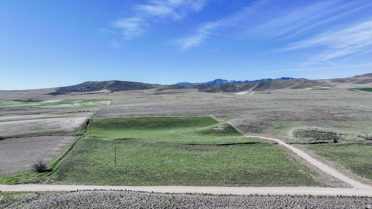 Be one of the seven homes in the whole canyon! Black Canyon Creek runs through this perfect sized almost level building lot. No covenants to deal with and no HOA. Power is on site, just need a well and septic.  Approved building lot, start construction as soon as you close! This lot is Red on the Map