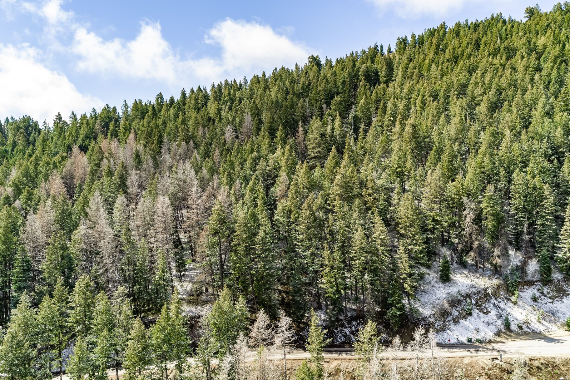 Beautiful .87-acre wooded lot in Summit Park with impressive mountain views and a peaceful, private setting. Backing to open space, this parcel offers the feeling of being tucked away in the mountains while still being within easy reach of Park City and Salt Lake. Imagine being able to hike, bike, snowshoe, or cross-country ski right from your front door. With year-round access, mature trees, and a setting that feels both secluded and connected, this is a special opportunity to build a mountain retreat in one of Park City's most scenic neighborhoods. Time to Kimbal Junction - 15 min. Time to Salt Lake International Airport - 30 min. Time to Deer Valley East Village - 24 min. Time to Canyons Village - 22 min.