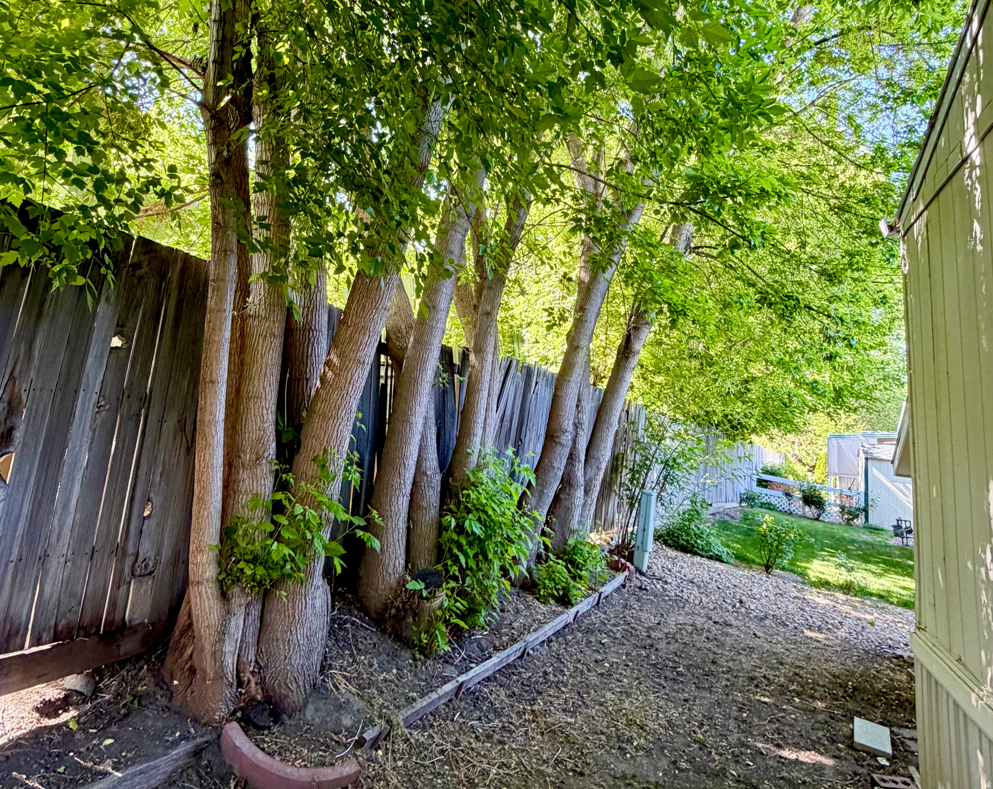 COTTONWOOD COVES - Residential