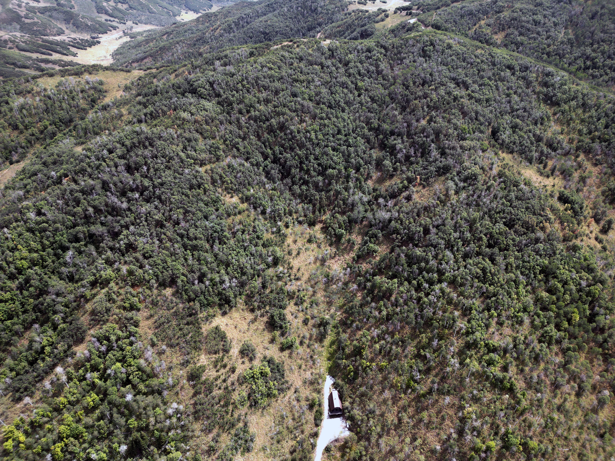 GRASS CREEK ESTATES - Land