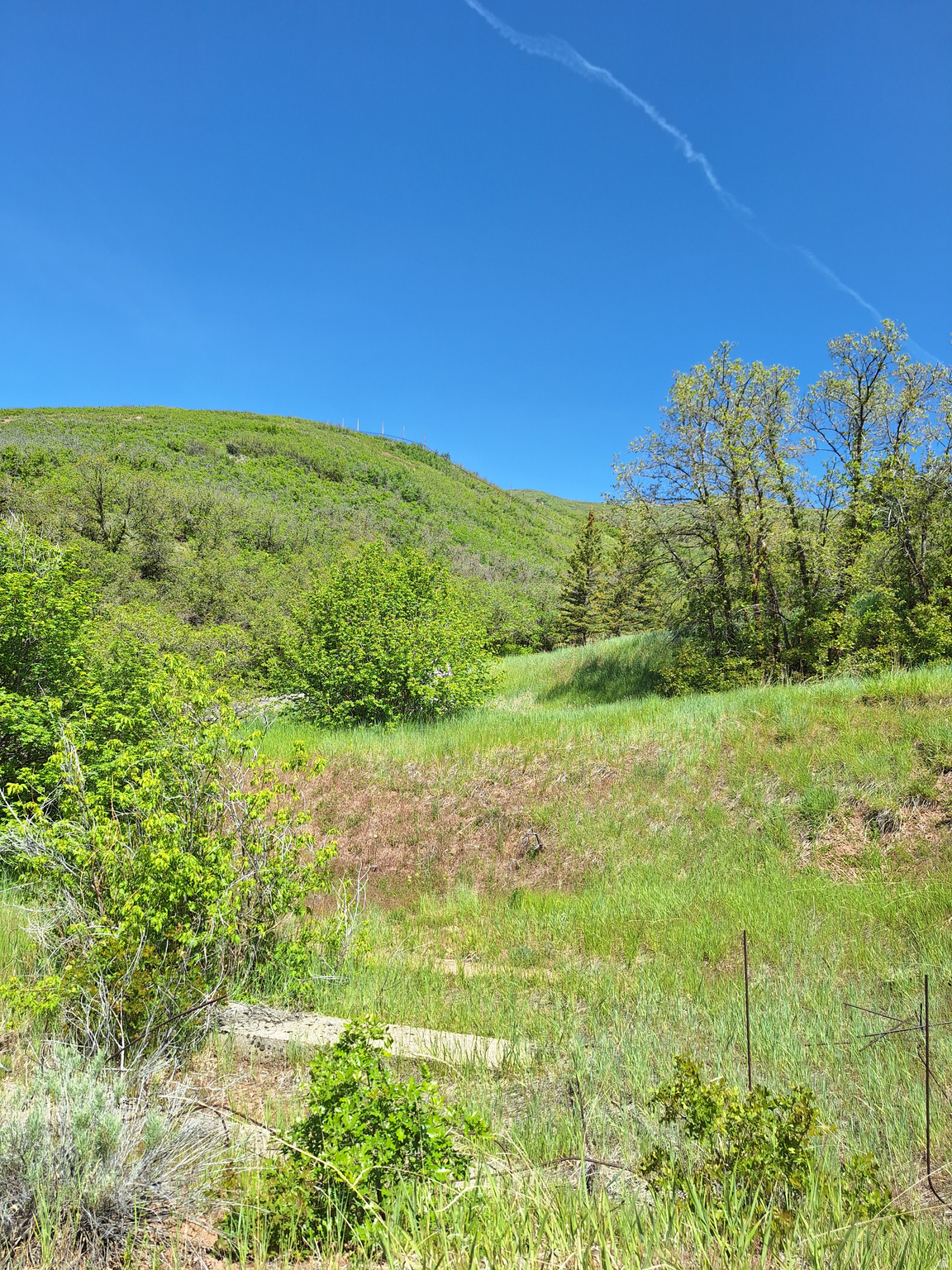 EMIGRATION CANYON - Land