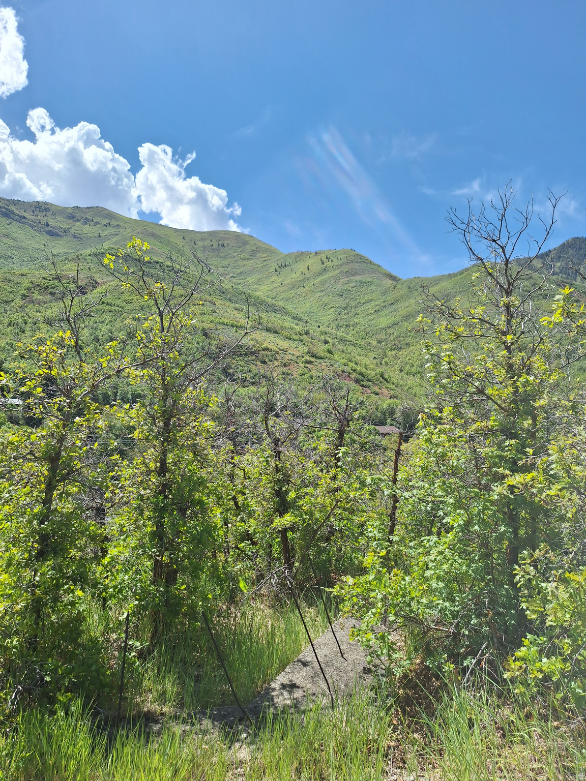 EMIGRATION CANYON - Land
