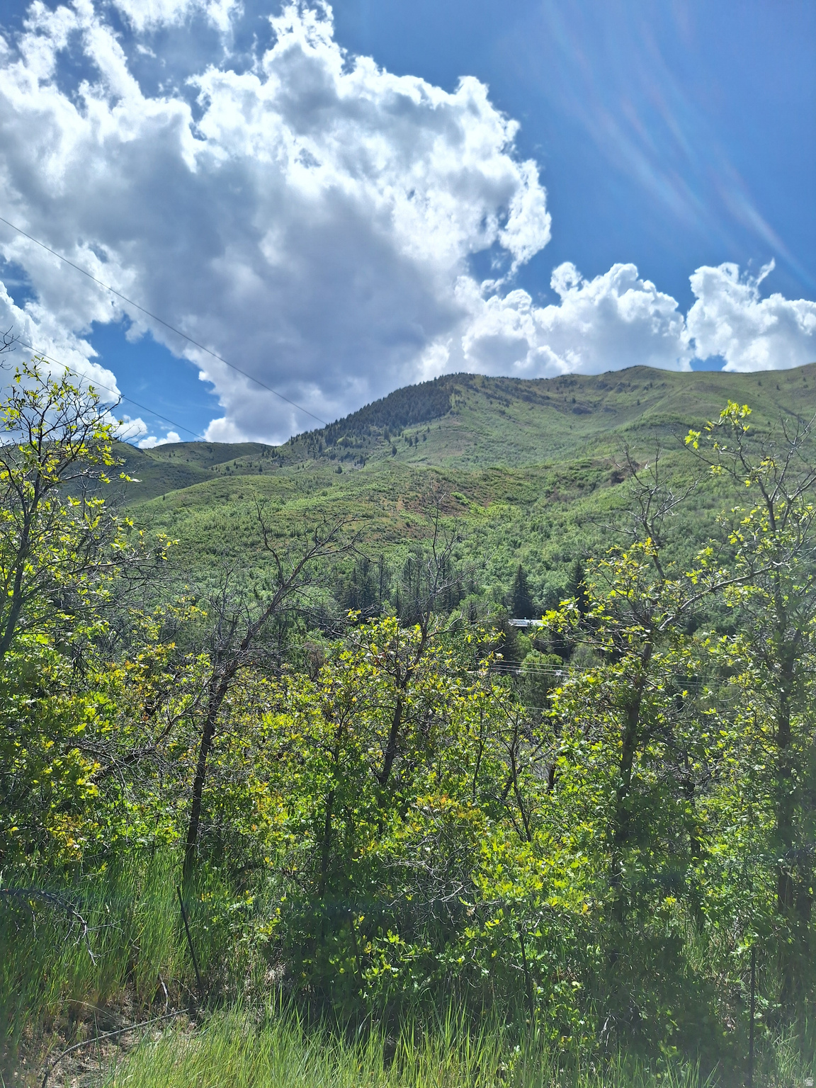 EMIGRATION CANYON - Land