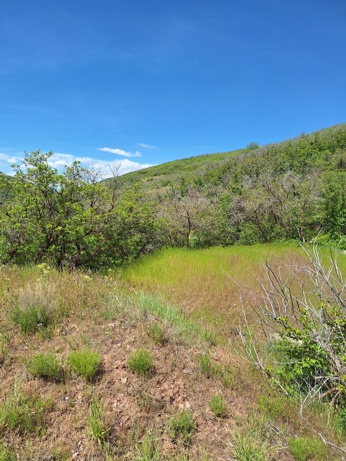 EMIGRATION CANYON - Land