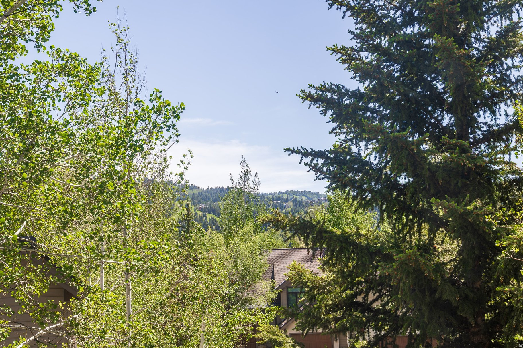 DEER LAKE VILLAGE - Residential
