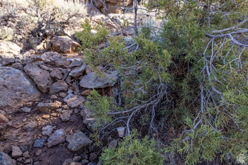 KOLOB RANCH - Land